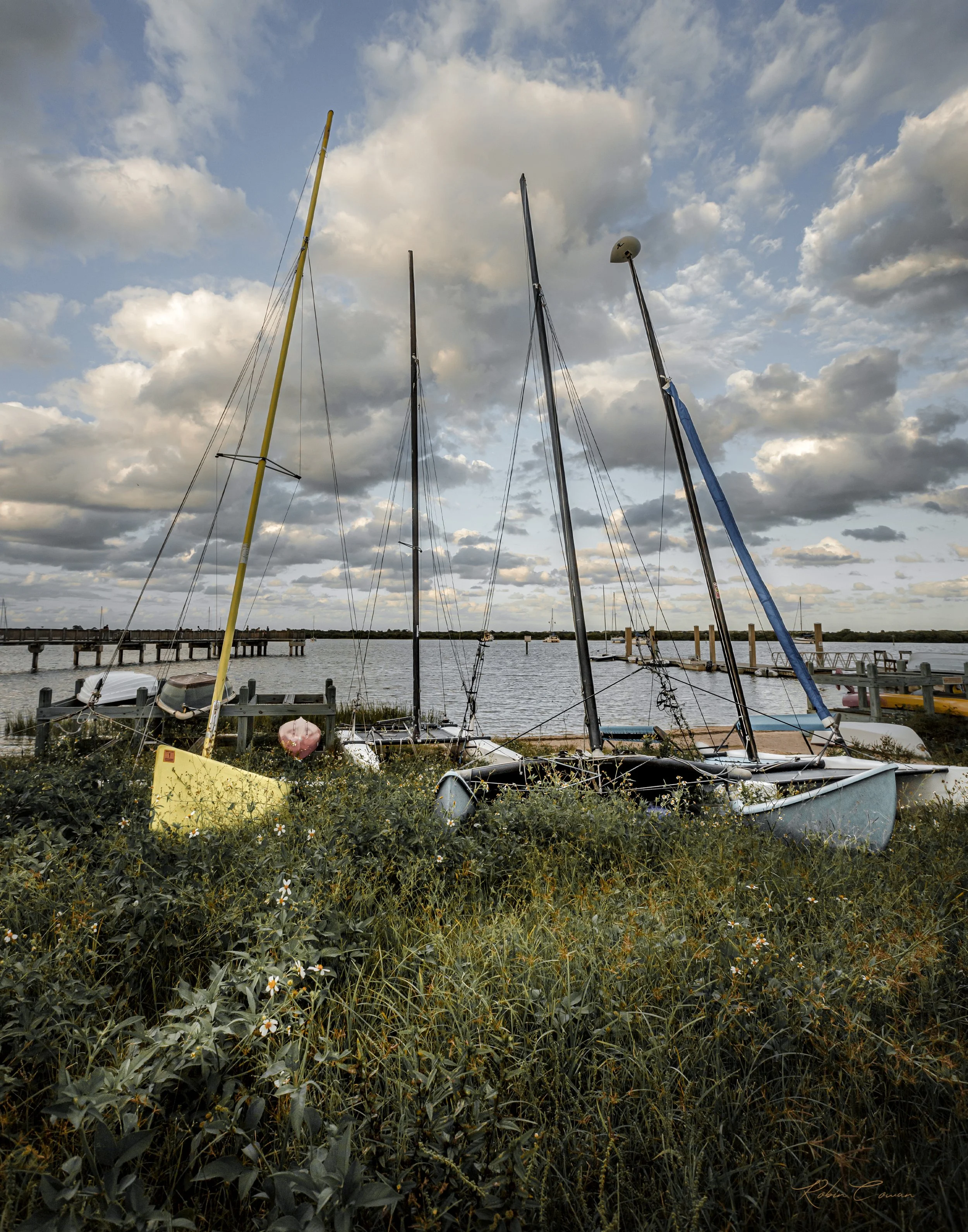 Boats_Waiting_Robin Cowan.jpg