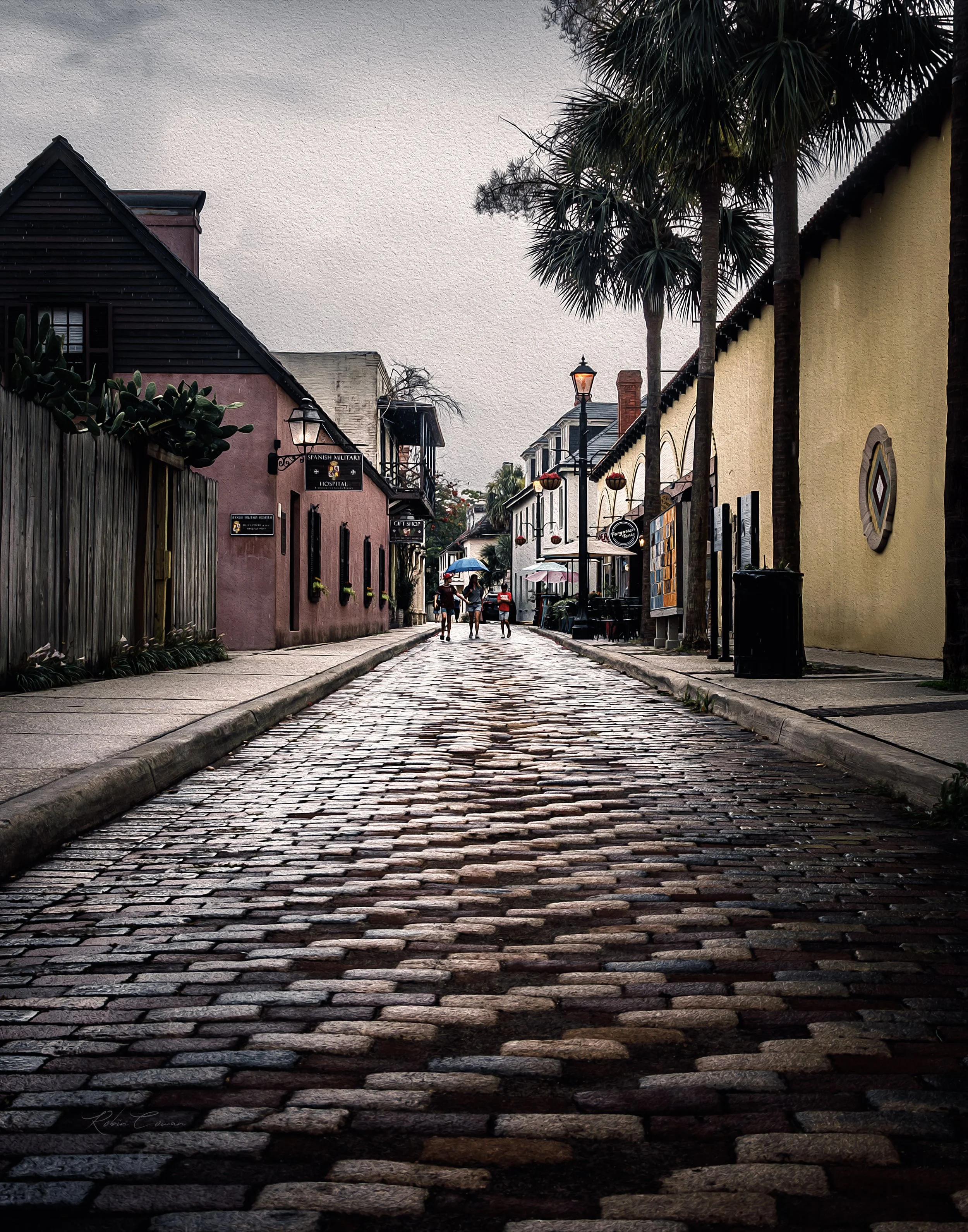 Avilles St in the Rain_Robin Cowan_S1788-3 copy 2.jpg