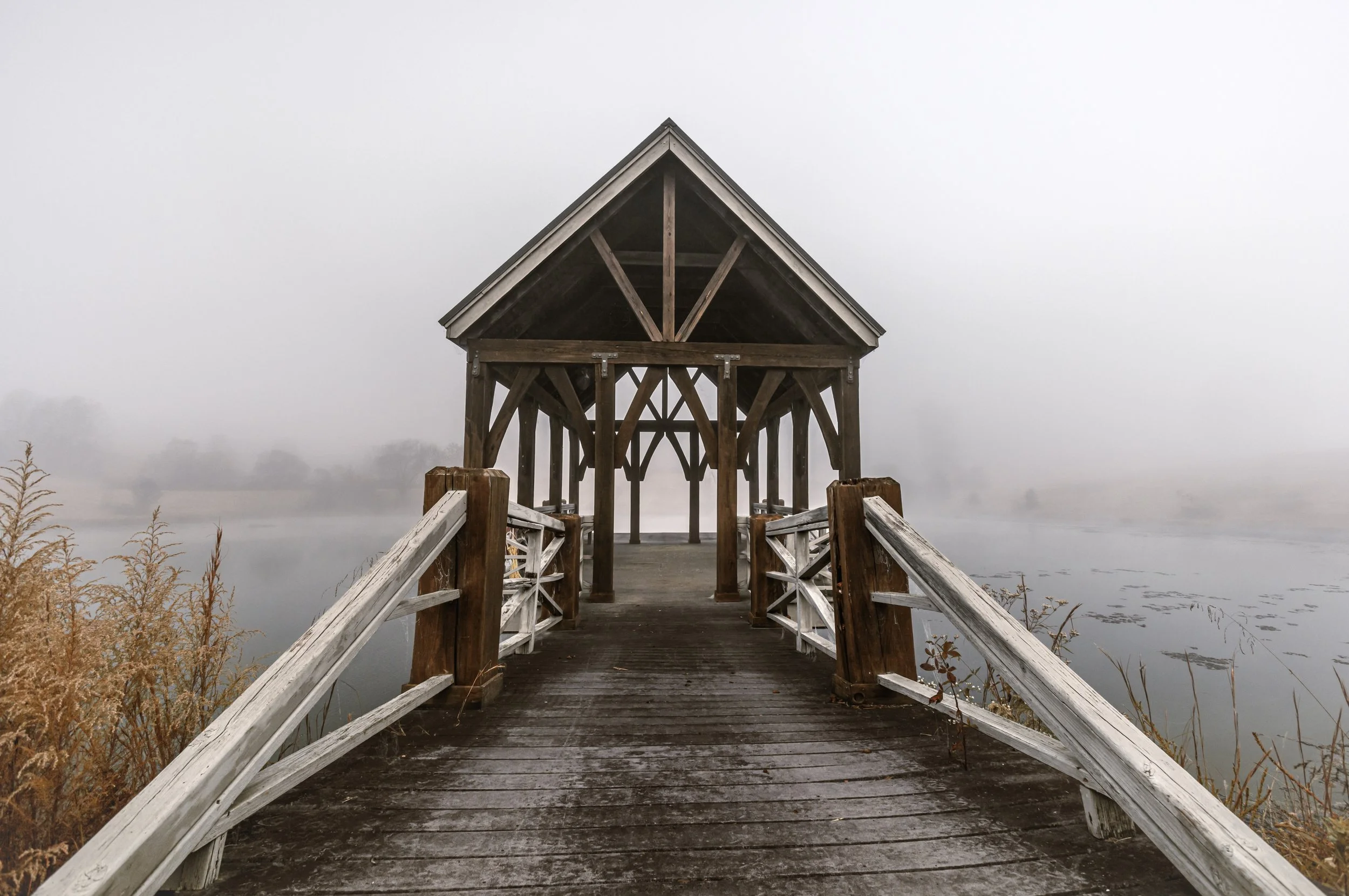 TN_Fog_A3473.jpg
