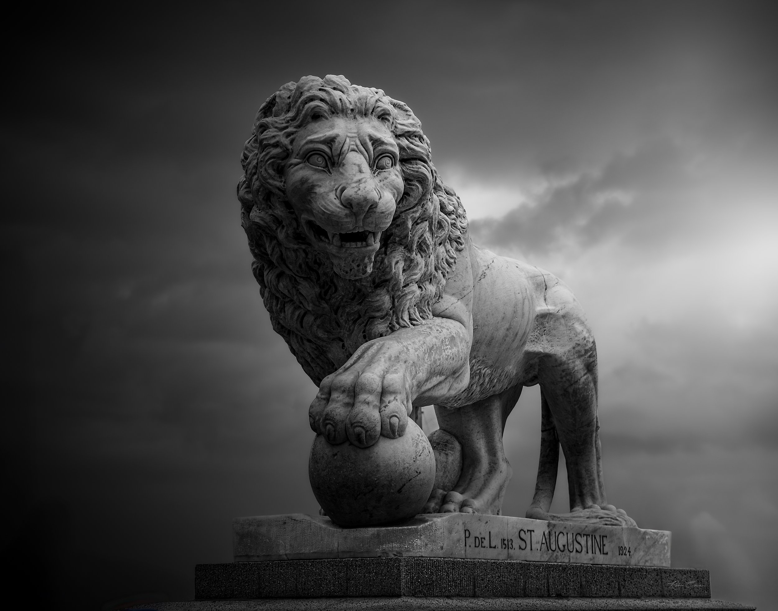 BNW_Bridge of Lions_Fiel_Robin Cowan_S1770 copy.jpg