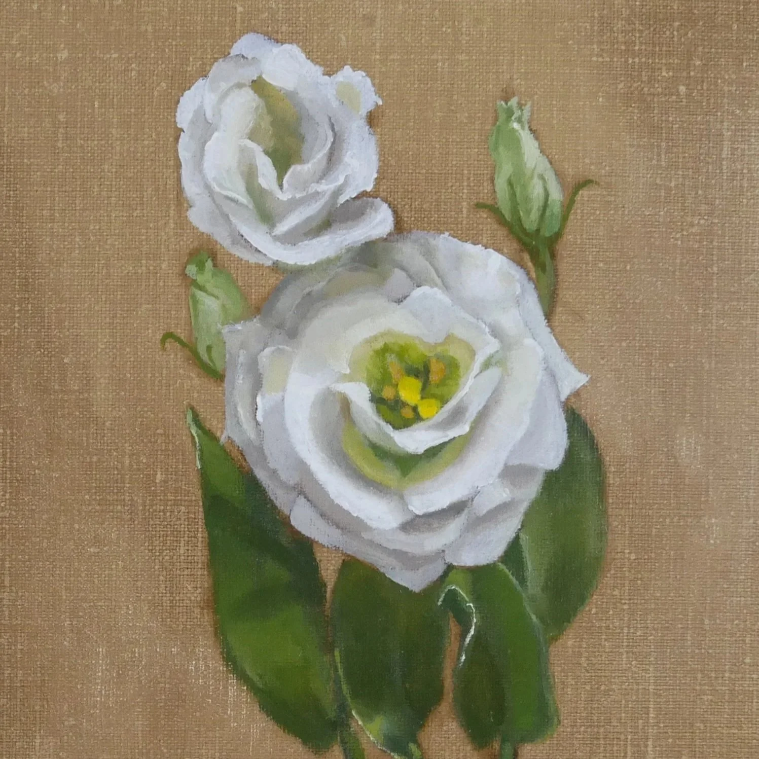 WhiteFlower_WEB.jpg