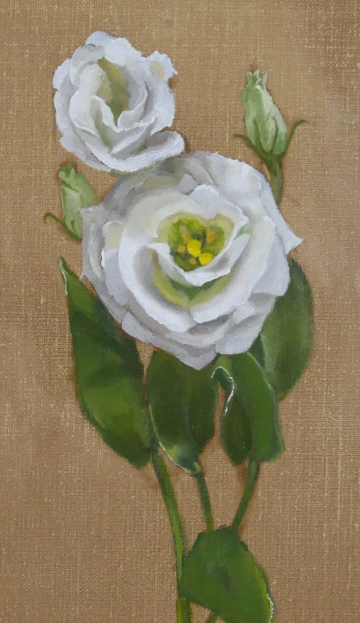 WhiteFlower_WEB.jpg