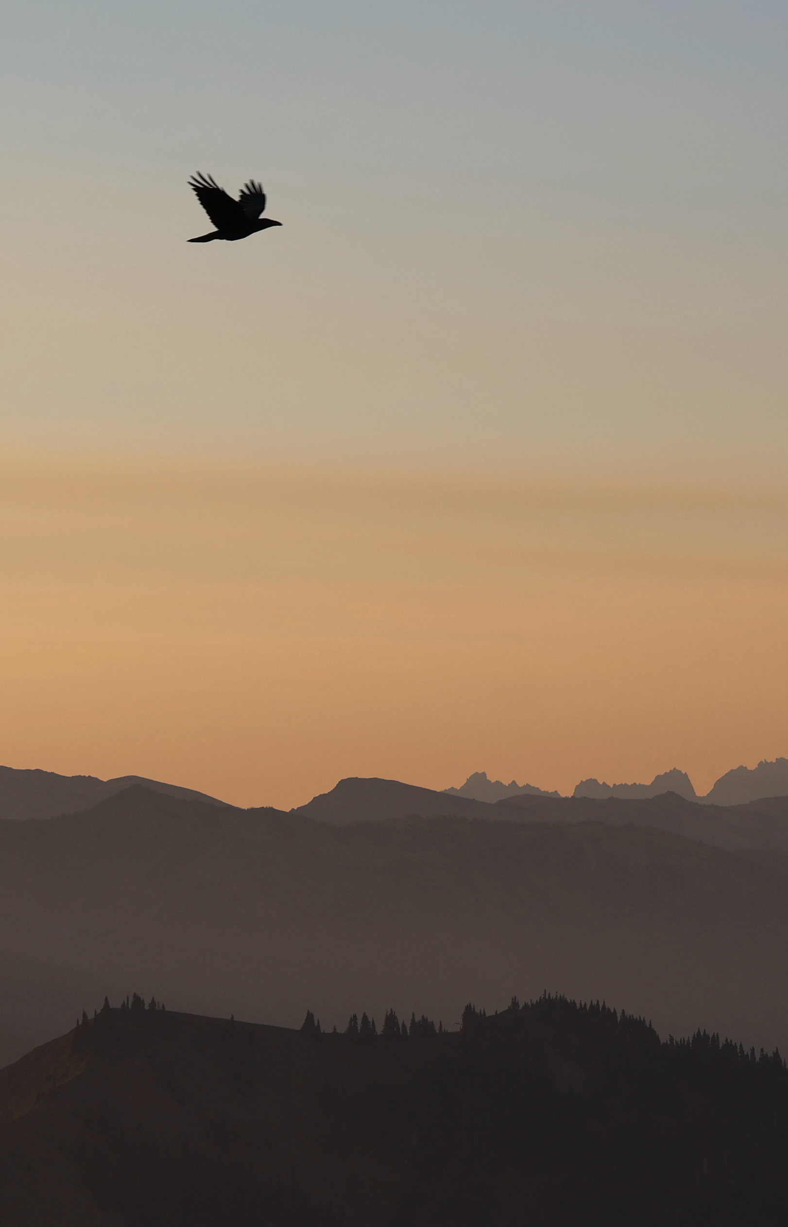 Screenshot 2026-01-13 at 9.53.12 AM.png