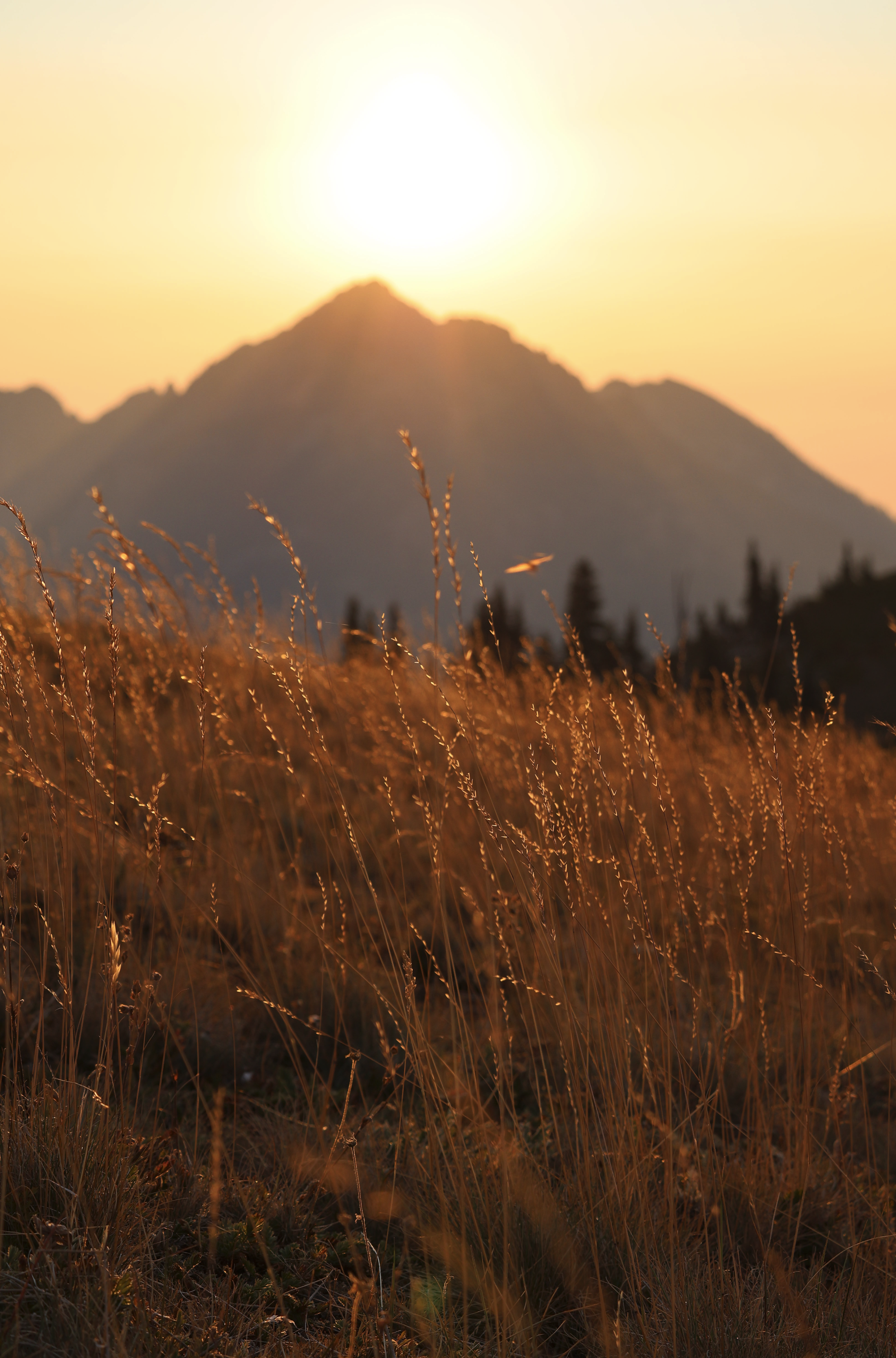 Screenshot 2026-01-13 at 9.52.30 AM.png