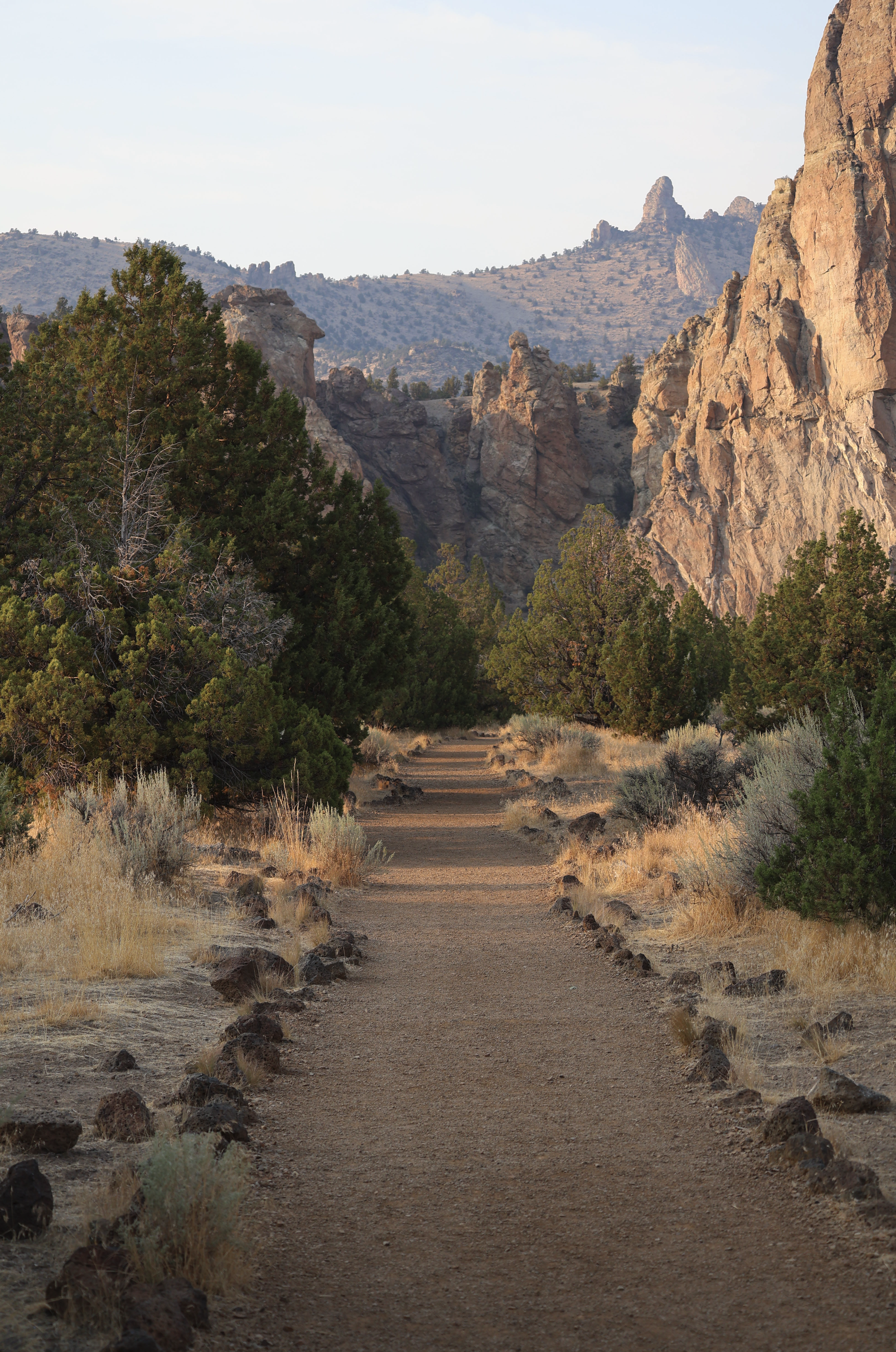 Screenshot 2026-01-13 at 9.49.20 AM.png