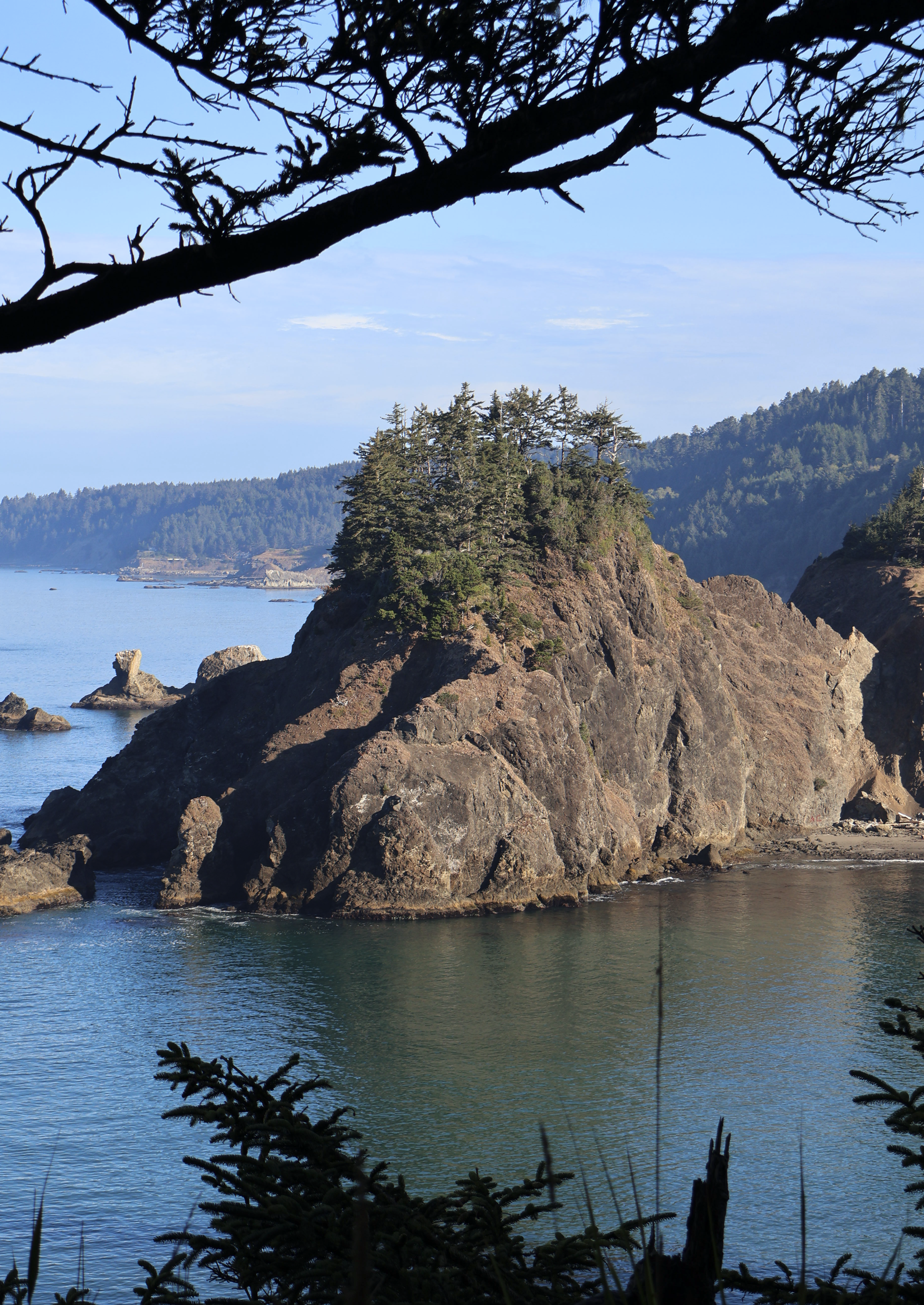 Screenshot 2026-01-13 at 10.01.14 AM.png