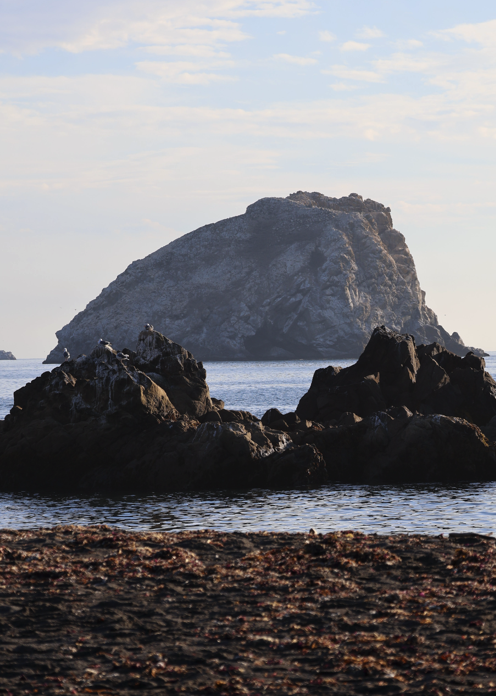 Screenshot 2026-01-13 at 9.58.58 AM.png