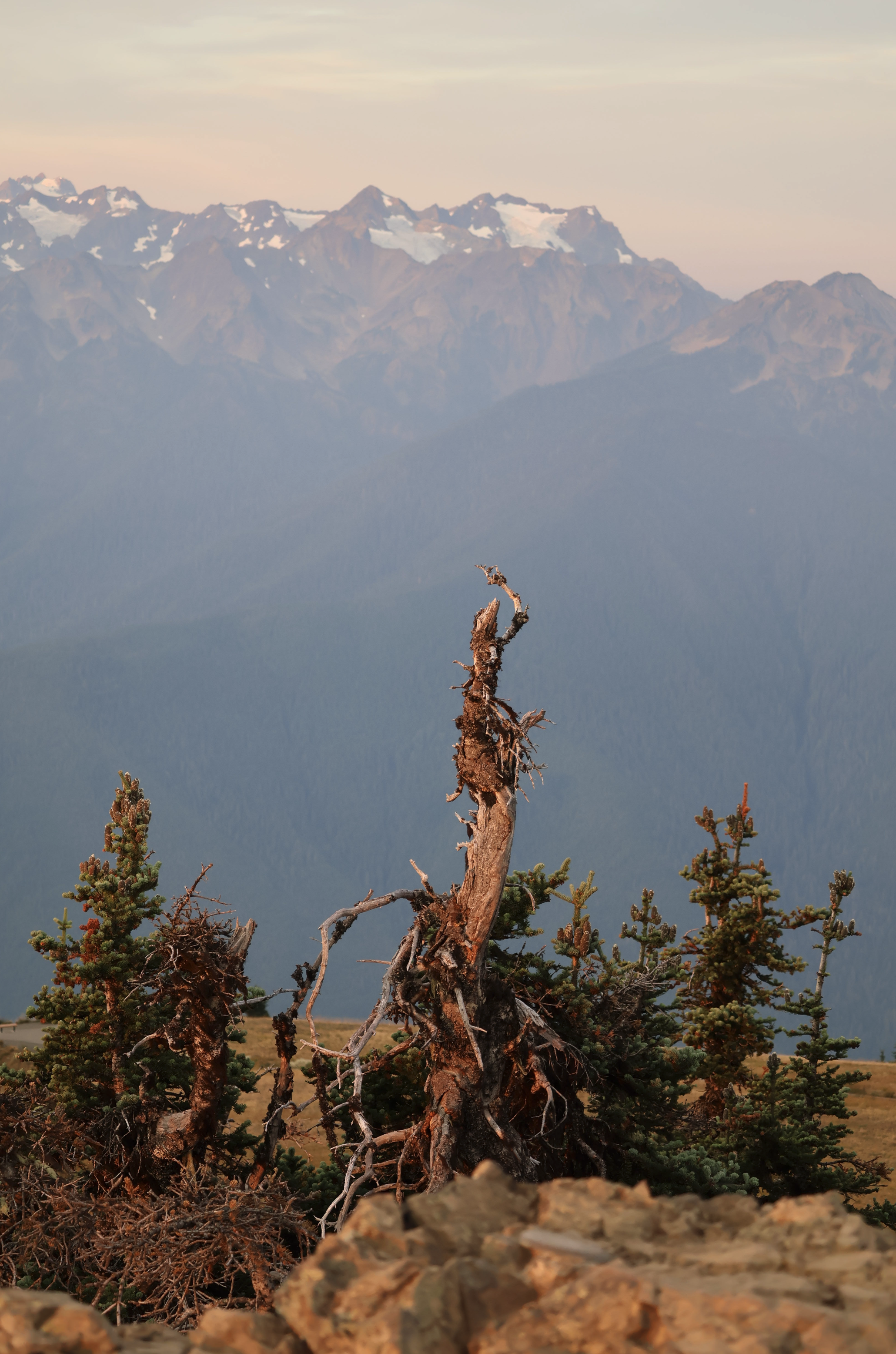 Screenshot 2026-01-13 at 9.52.10 AM.png