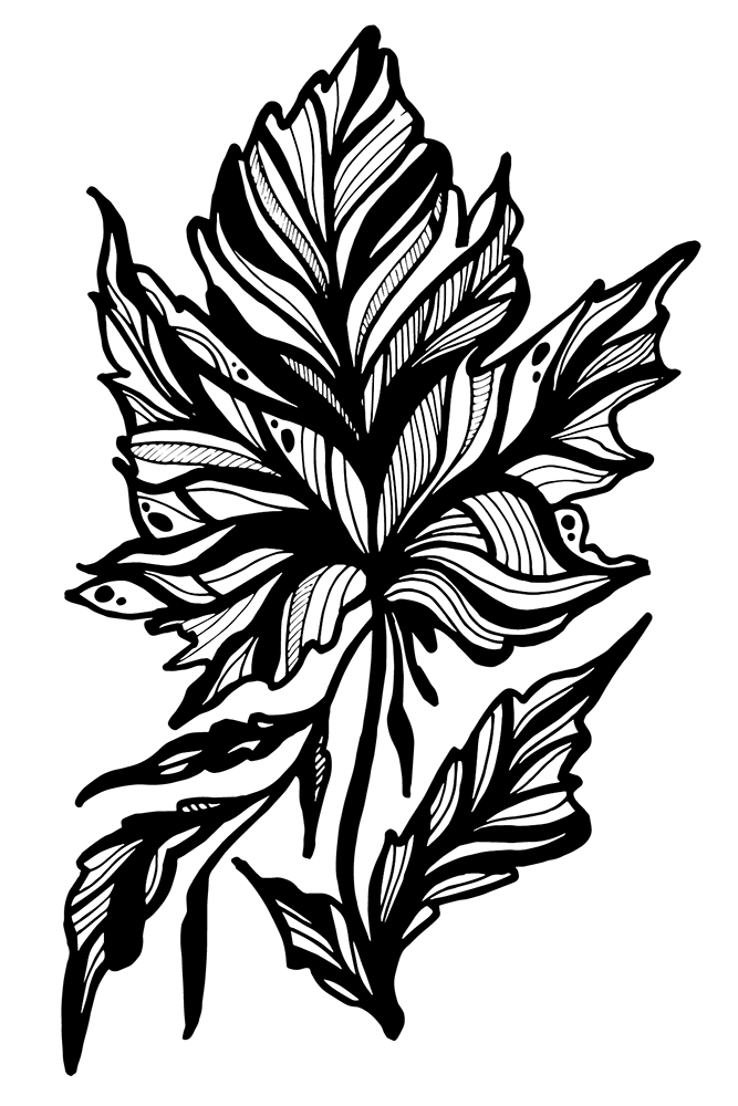 figsAndDahlias_leaf.png