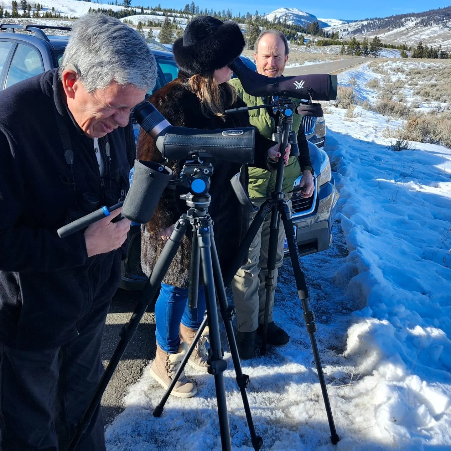 Wildlife watching in the Lamar Valley puts smiles on faces.

We love our @mavenbuilt optics! 

#yellowstonehikingguides #Yellowstone #wildlife #winter #tours