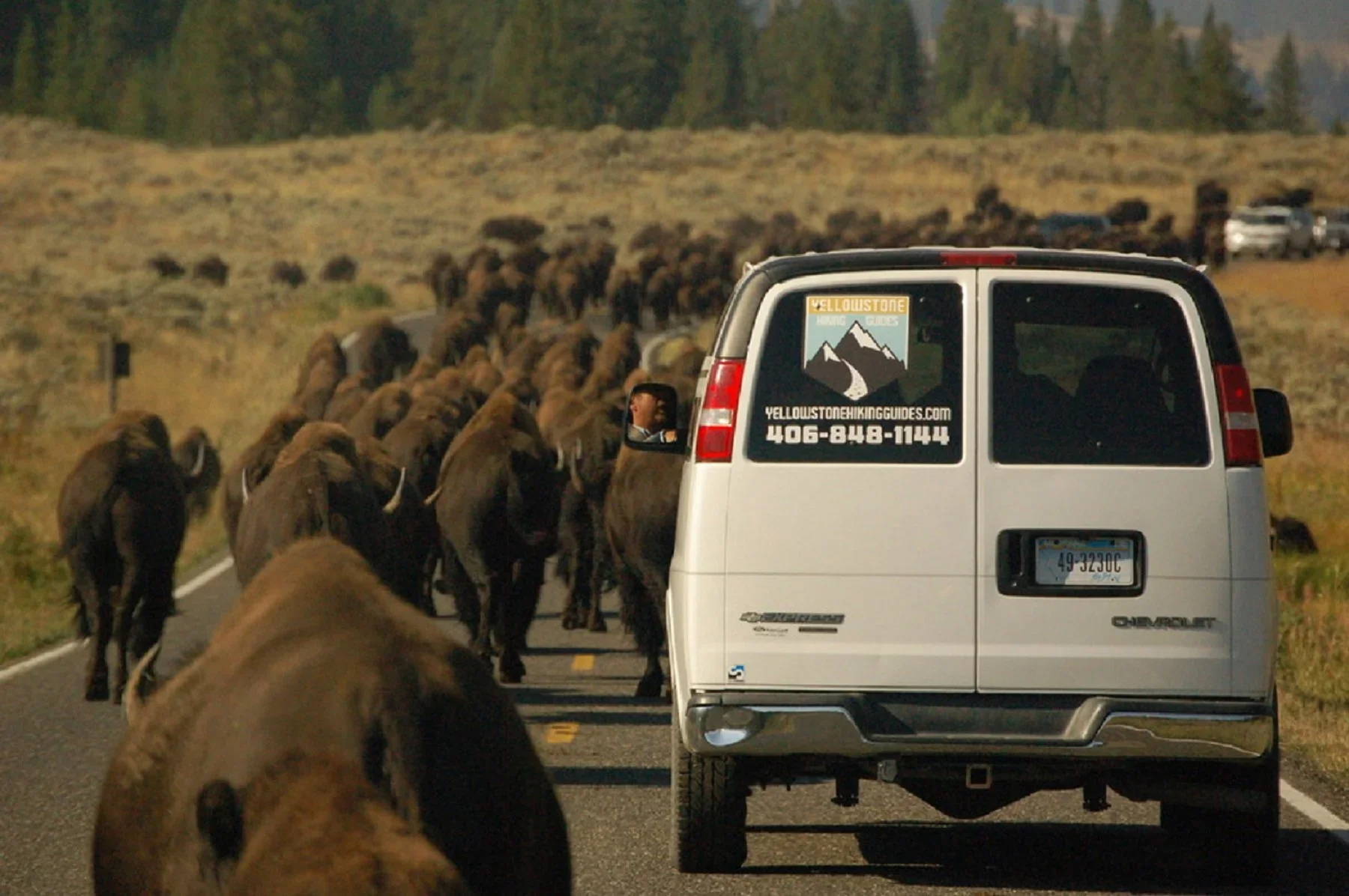 Who Benefits Most From Yellowstone Bus Tours