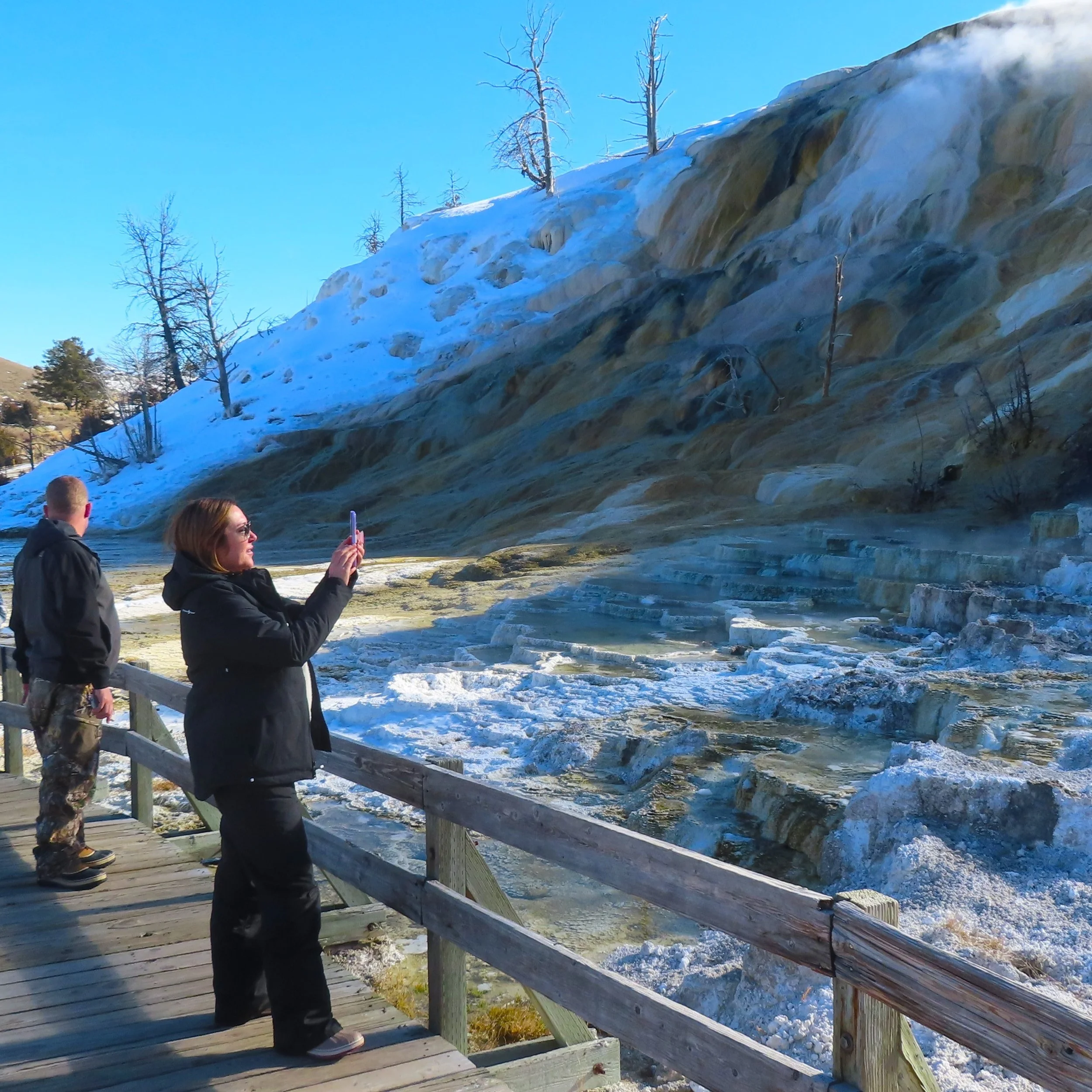 Winter Wildlife Tour