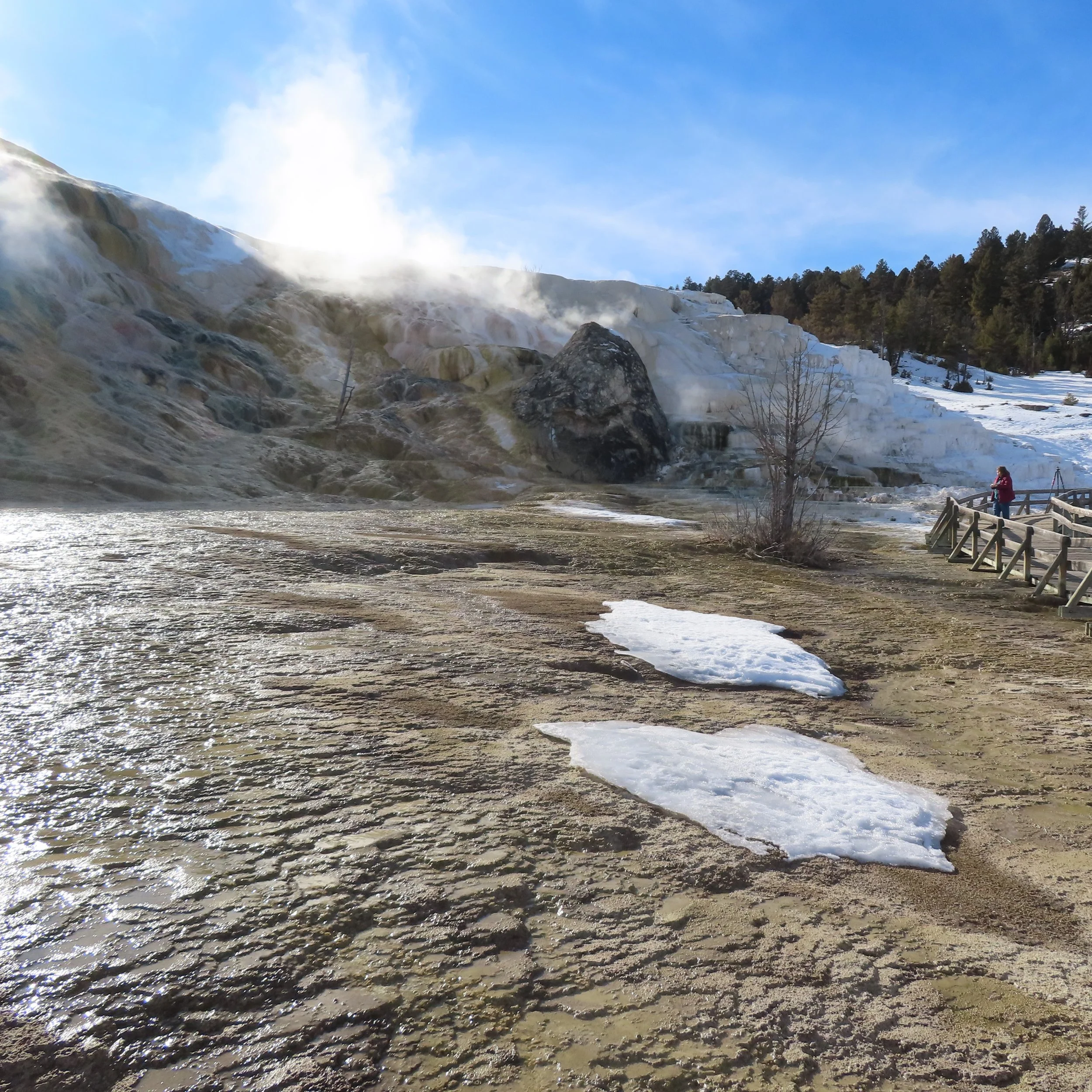 Winter Wildlife Tour