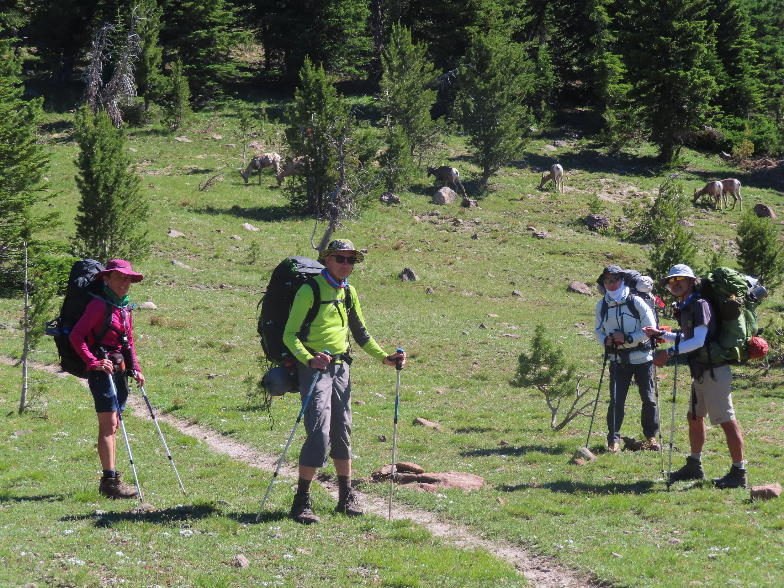 Backpacking the Gallatin Sky Rim Trail