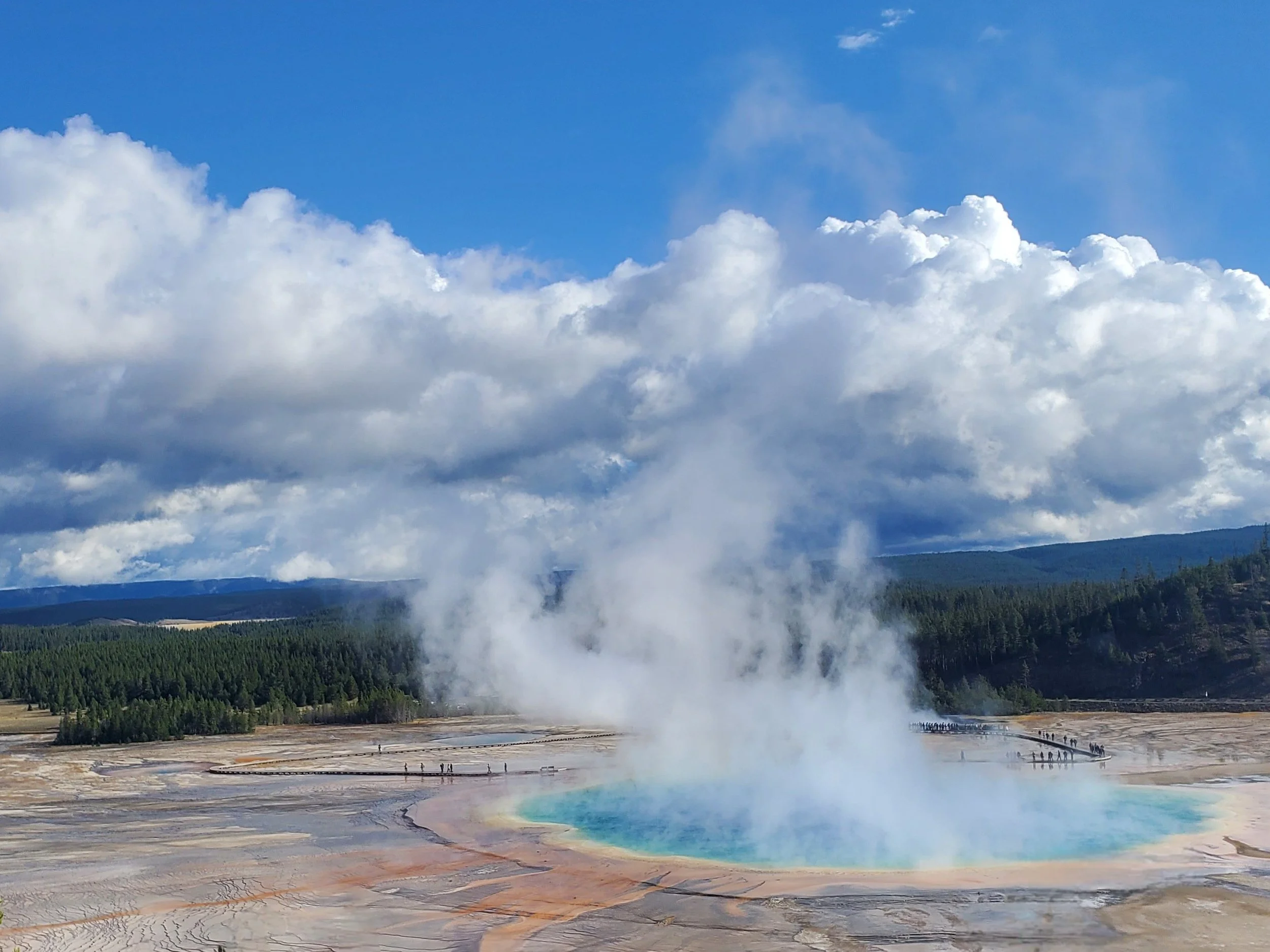 How to Choose the Right Yellowstone Tour