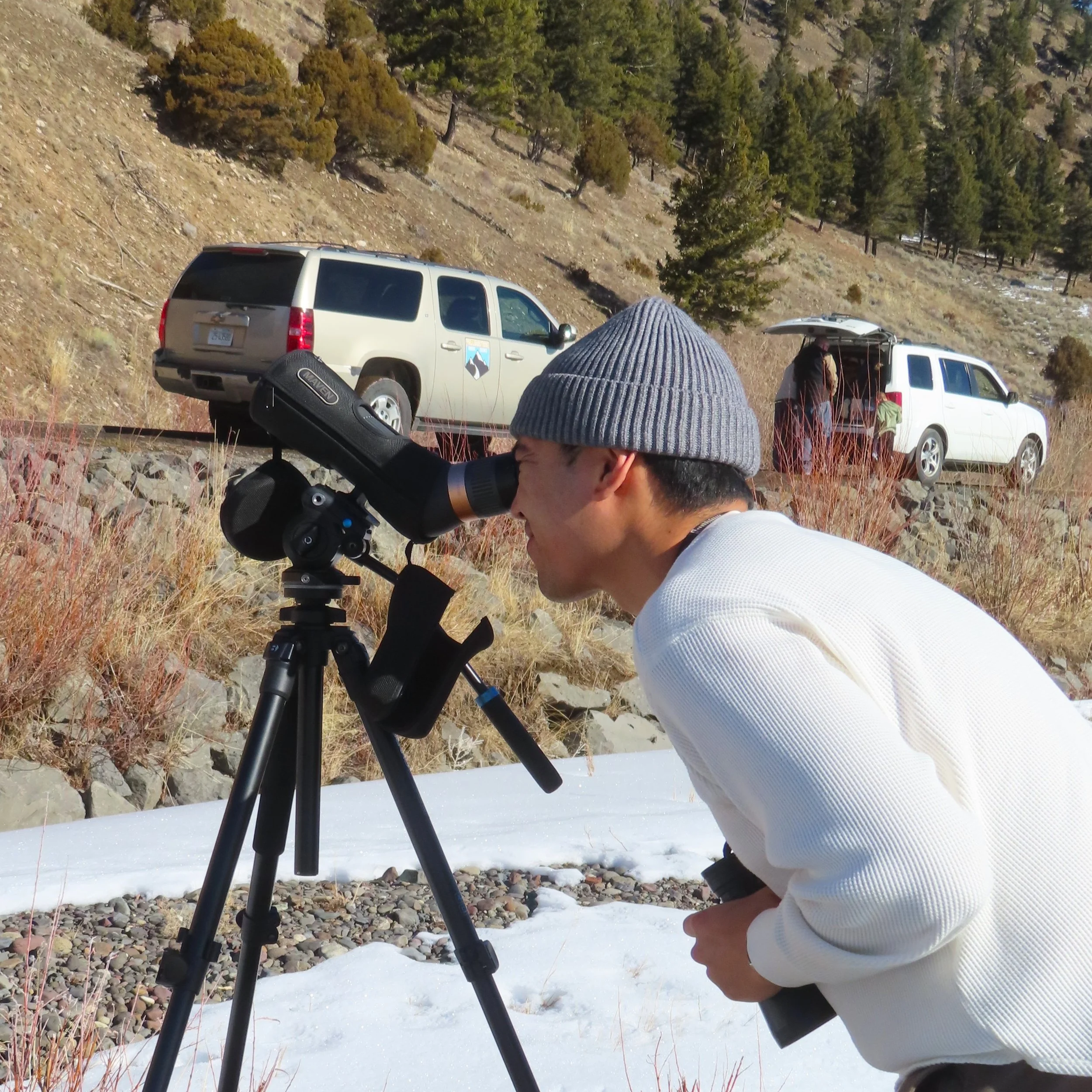 Winter Wildlife Tour