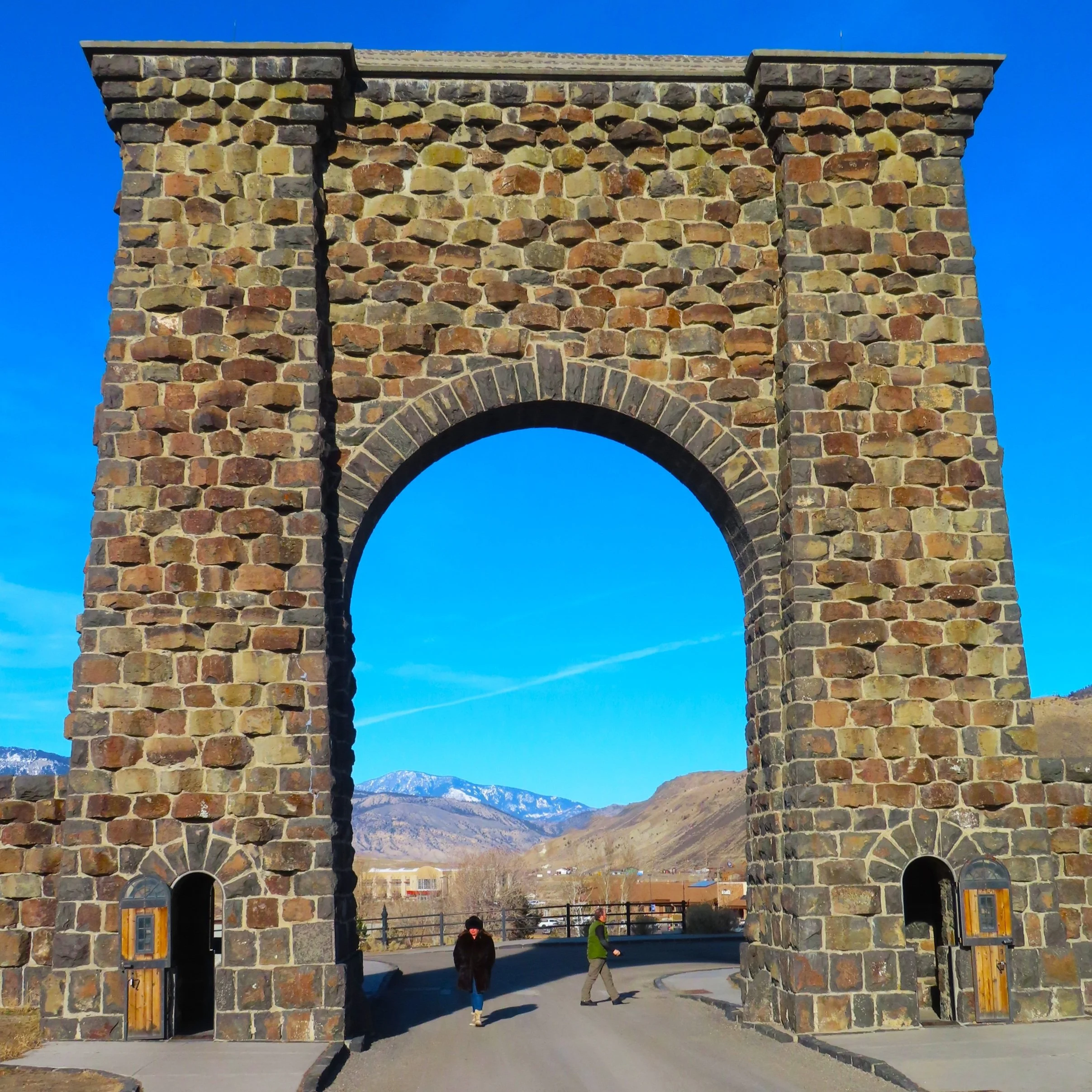 Winter Wildlife Tour