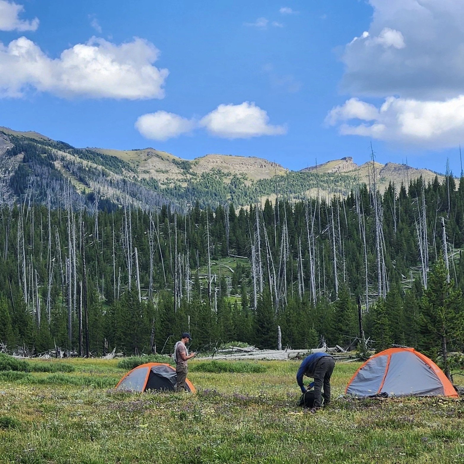 Lamar River Trail Yellowstone National Park