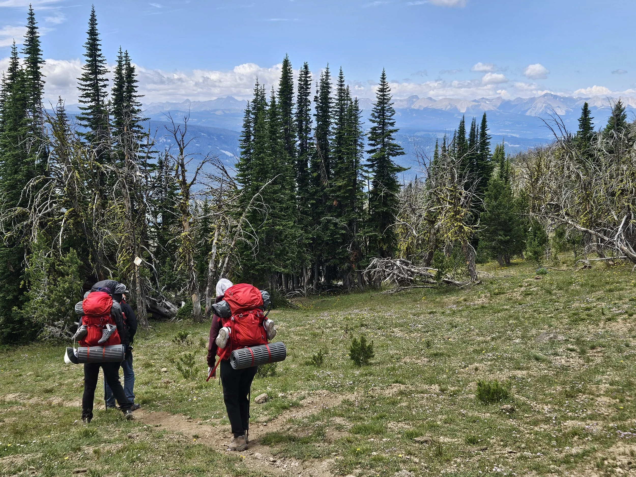 Backpacking the Gallatin Sky Rim Trail