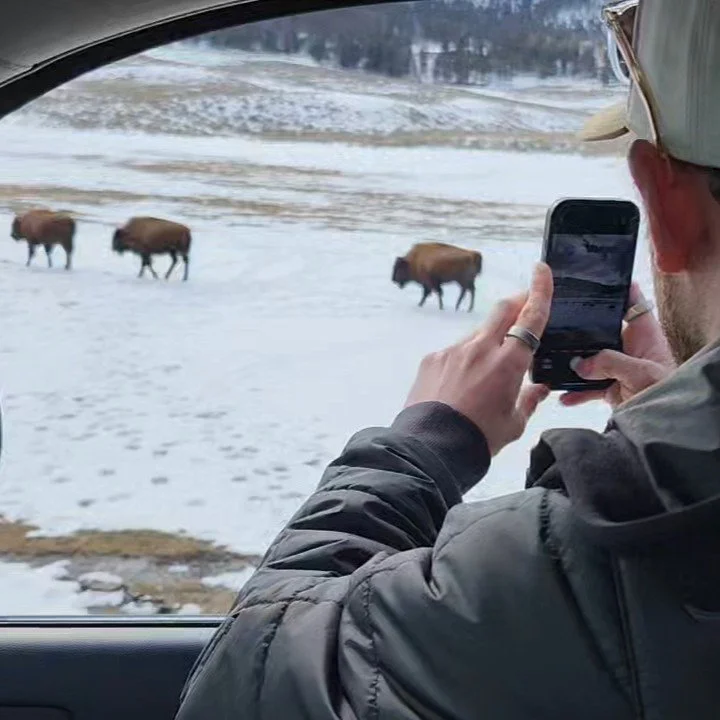 Winter Wildlife Tour
