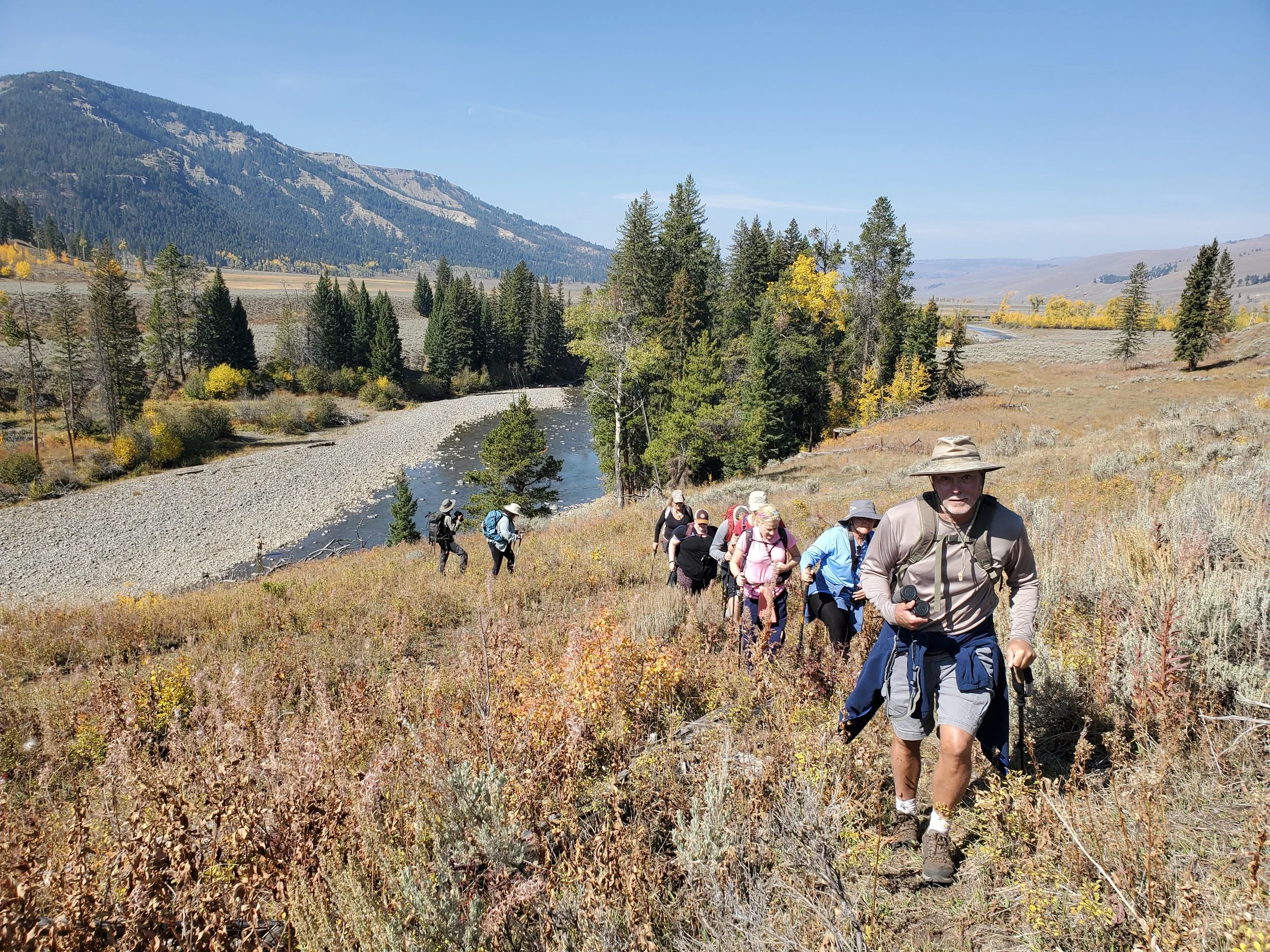 Lamar Valley Safari Hike
