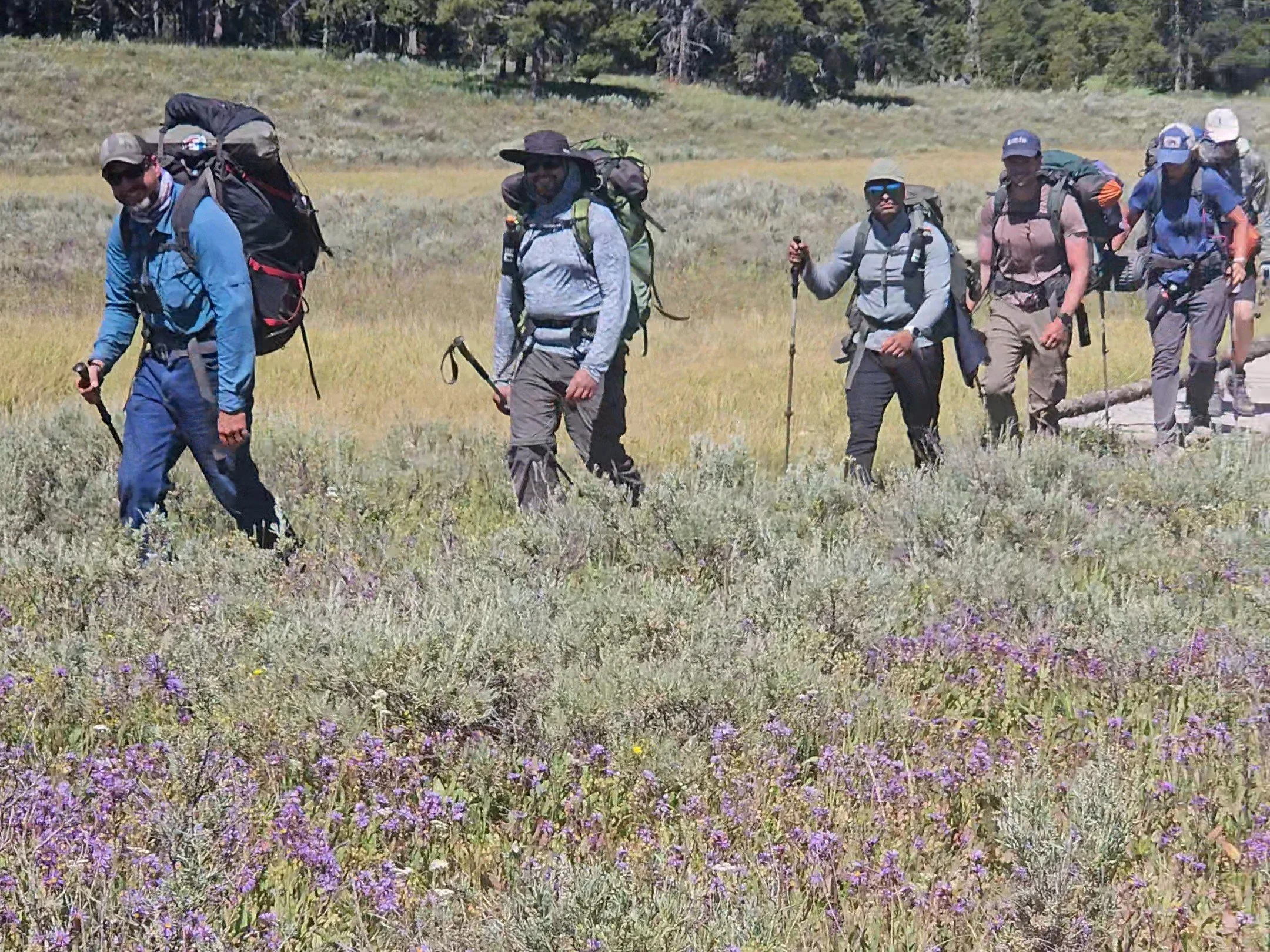 Lamar River Trail Backpacking