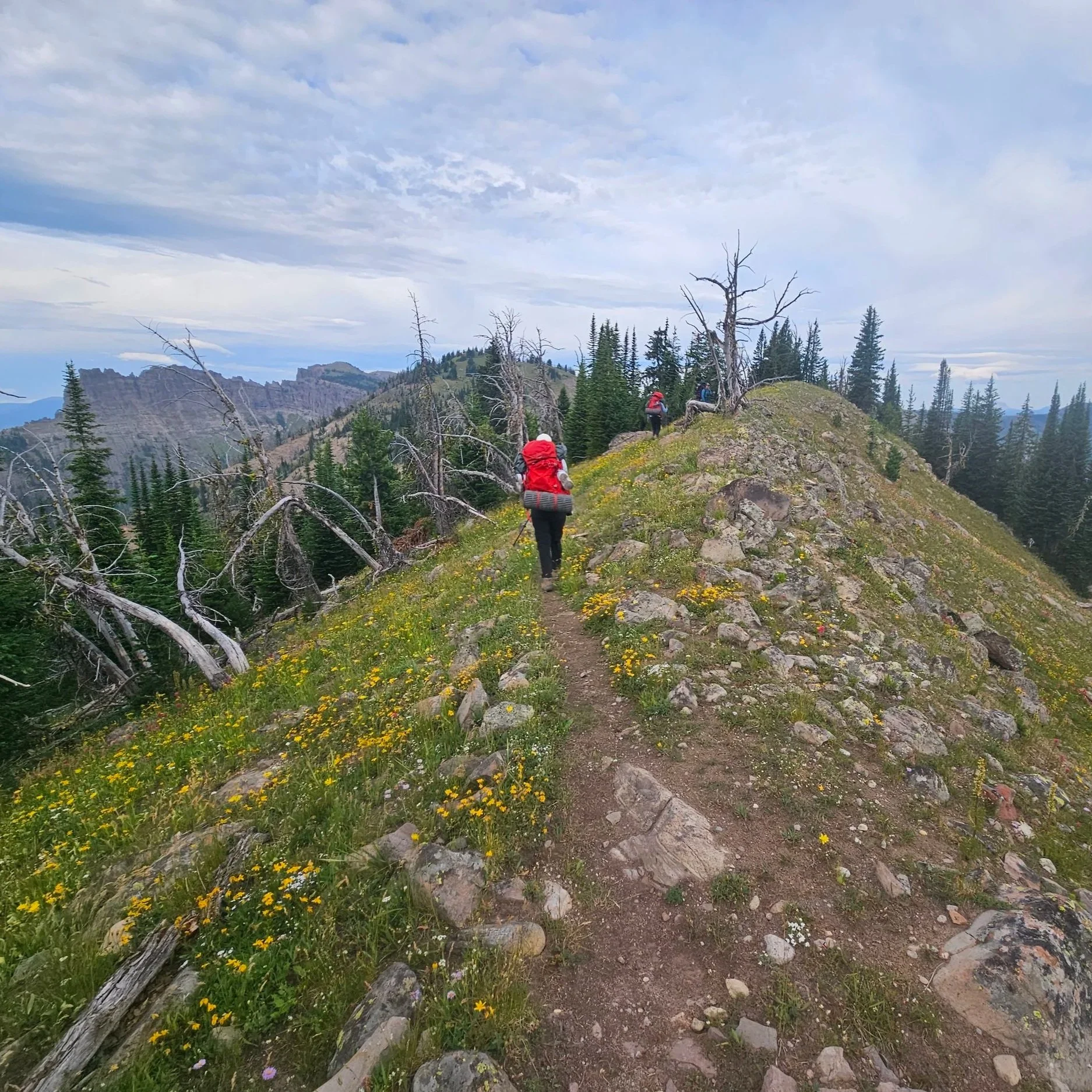 Gallatin Sky Rim Trail Yellowstone National Park
