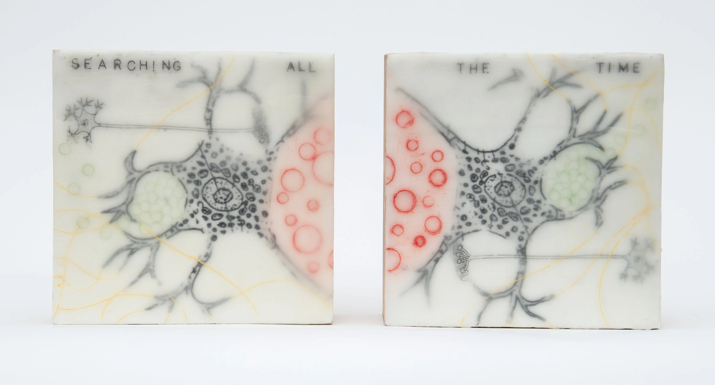 Searching All the Time, 2012, mixed media encaustic, 2 panels, 6 x 6 in. each