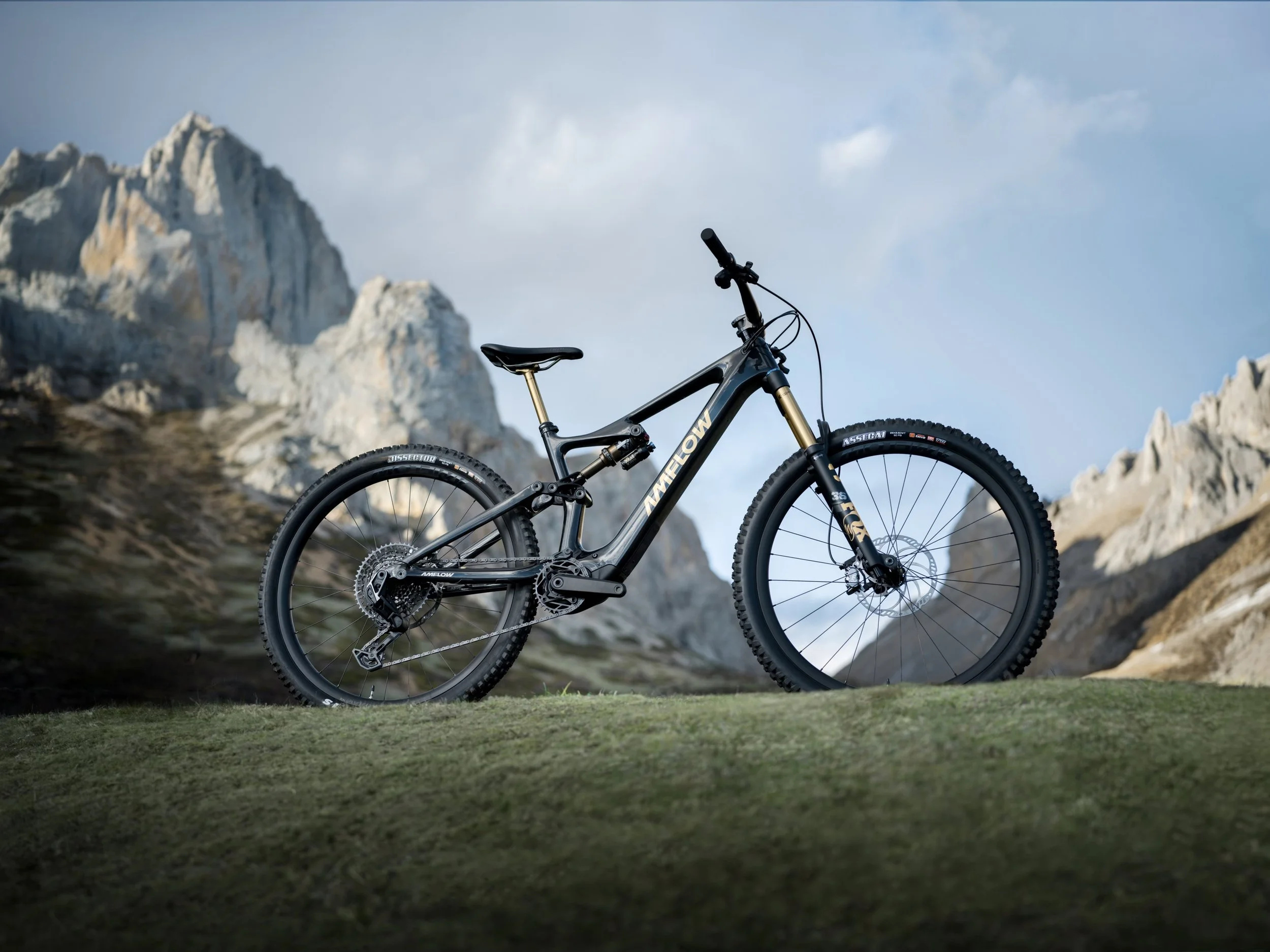 Amflow PL Carbon with Avinox M1 Drive System