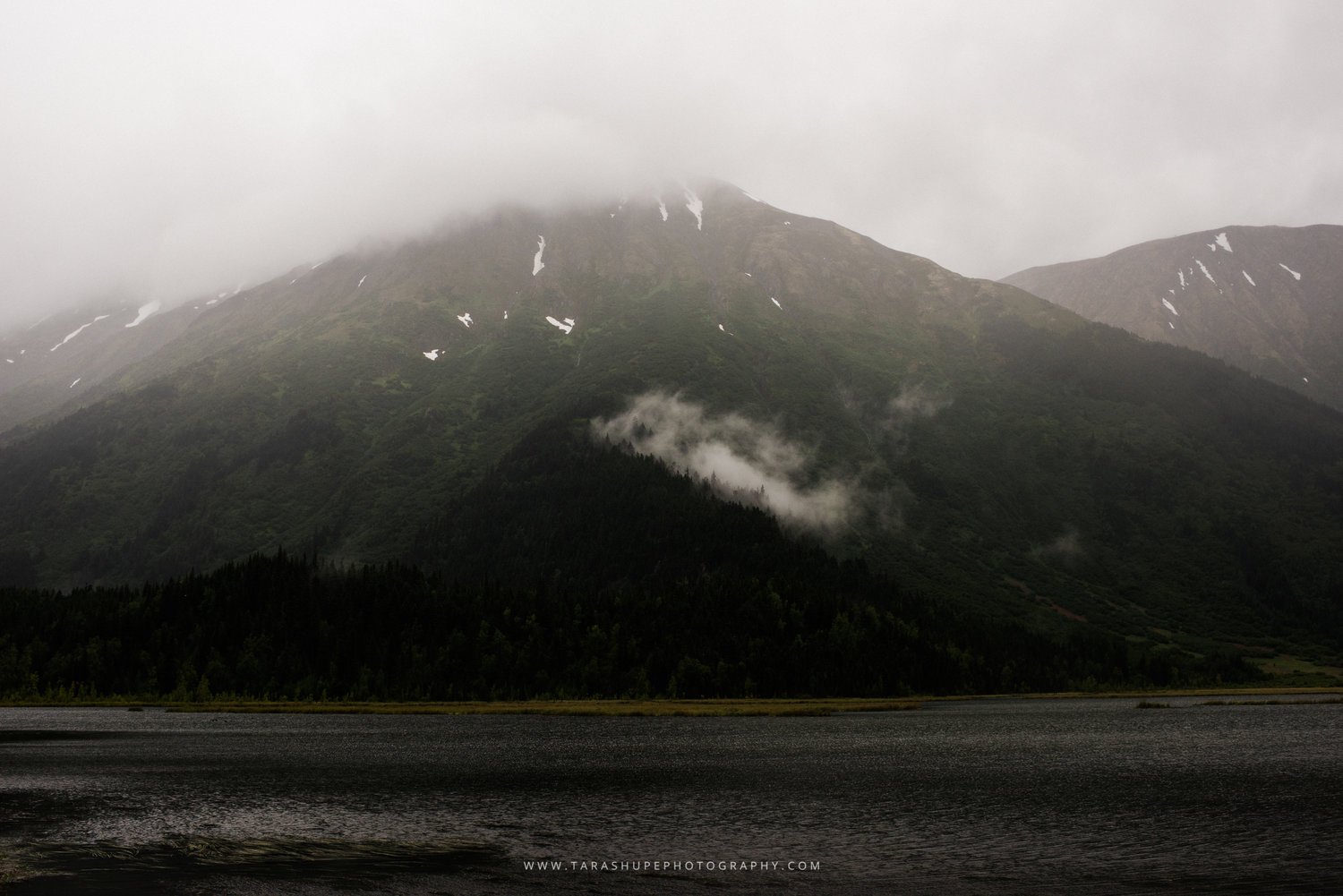 Tara_Shupe_Photography_Female_Photographer_Photographer_International_Women_Empowerment_Films_Ngo_Storytelling_Bear_Glacier_Alaska002.jpg