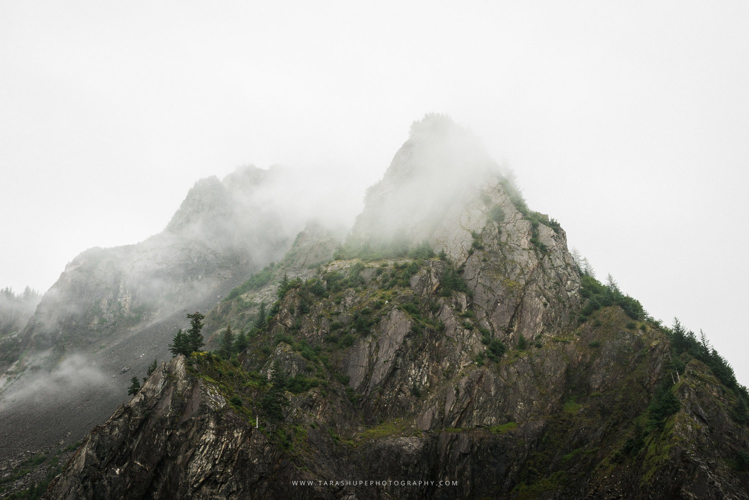 Tara_Shupe_Photography_Female_Photographer_Photographer_International_Women_Empowerment_Films_Ngo_Storytelling_Bear_Glacier_Alaska012.jpg