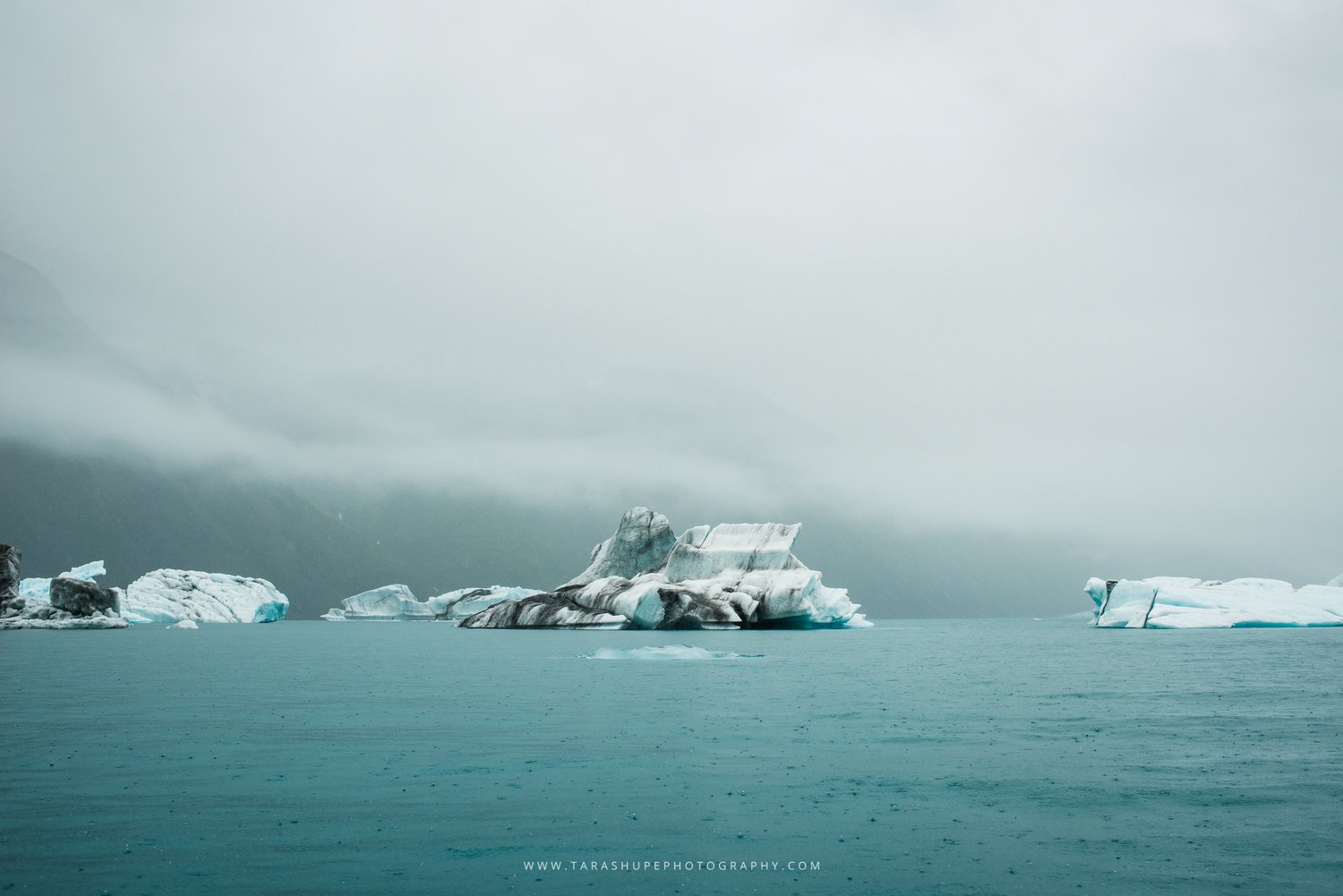 Tara_Shupe_Photography_Female_Photographer_Photographer_International_Women_Empowerment_Films_Ngo_Storytelling_Bear_Glacier_Alaska029.jpg