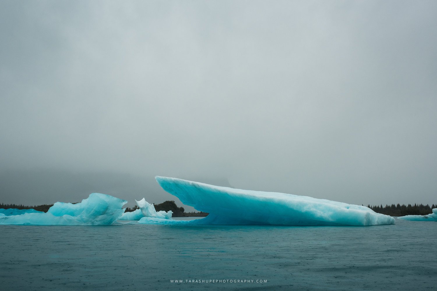 Tara_Shupe_Photography_Female_Photographer_Photographer_International_Women_Empowerment_Films_Ngo_Storytelling_Bear_Glacier_Alaska033.jpg