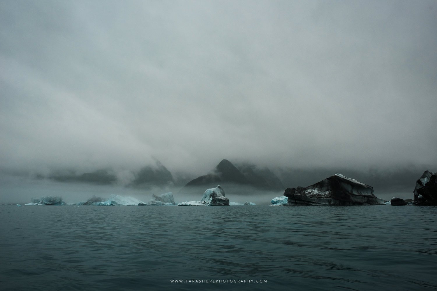 Tara_Shupe_Photography_Female_Photographer_Photographer_International_Women_Empowerment_Films_Ngo_Storytelling_Bear_Glacier_Alaska043.jpg