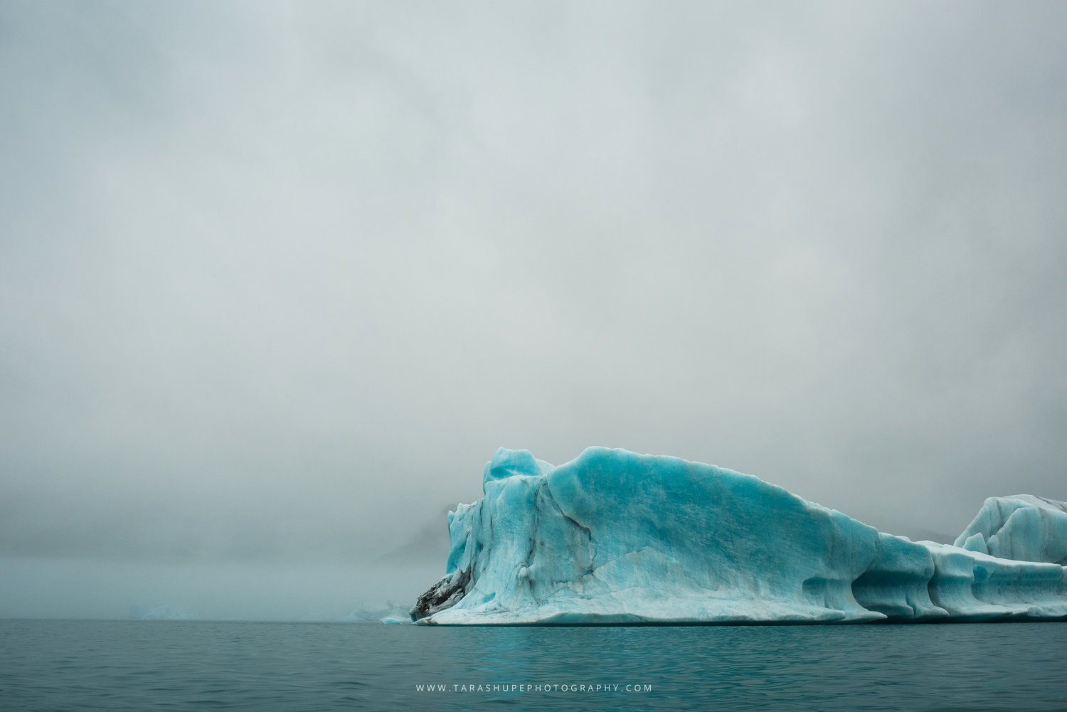 Tara_Shupe_Photography_Female_Photographer_Photographer_International_Women_Empowerment_Films_Ngo_Storytelling_Bear_Glacier_Alaska048.jpg