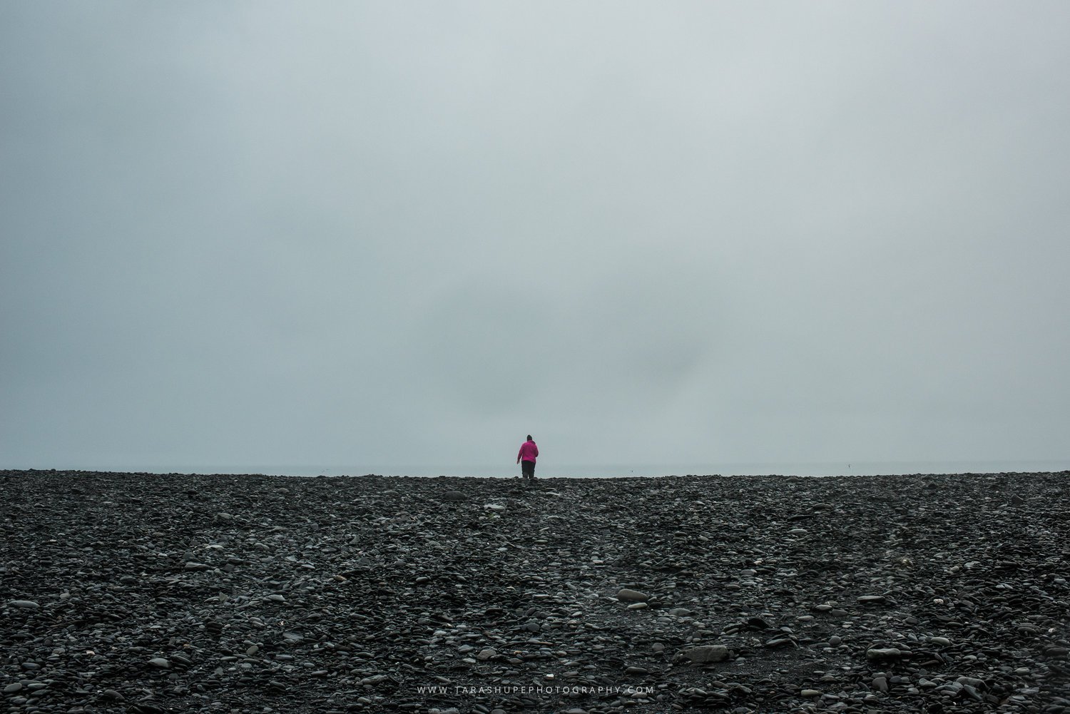 Tara_Shupe_Photography_Female_Photographer_Photographer_International_Women_Empowerment_Films_Ngo_Storytelling_Bear_Glacier_Alaska054.jpg