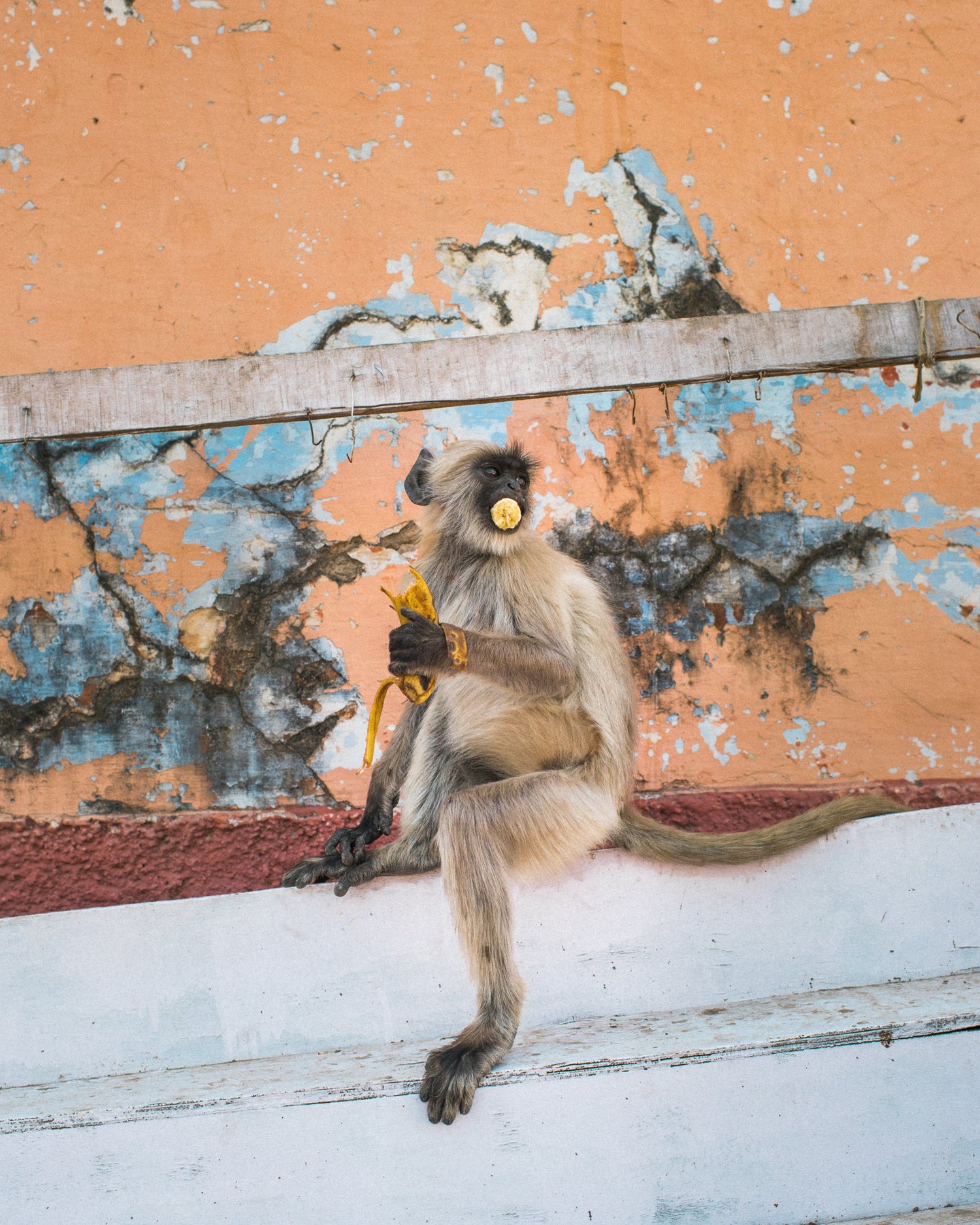 TaraShupe_Photography_Humanitarian_Photographer_Female_Storyteller_NGO_WomenFilmmakers_Pushkar, India023.jpg