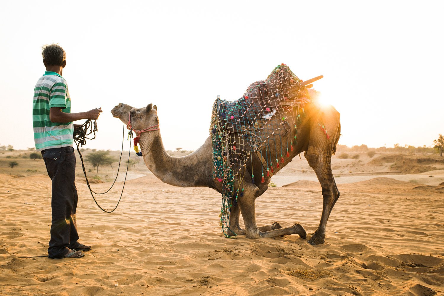 TaraShupe_Photography_Humanitarian_Photographer_Female_Storyteller_NGO_WomenFilmmakers_Pushkar, India042.jpg