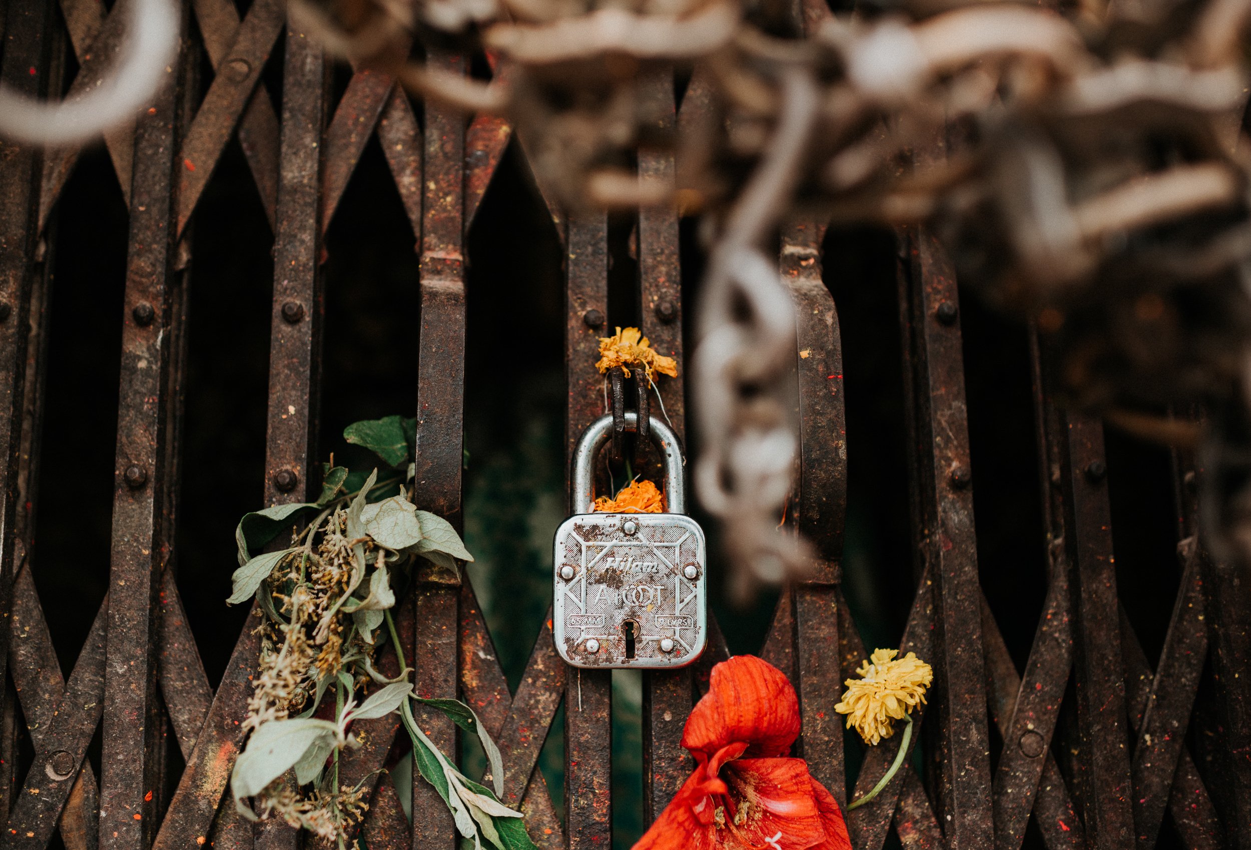 TaraShupe_Photography_Humanitarian_Photographer_Female_Storyteller_NGO_WomenFilmmakers_Trek-for-girls-mount everest015.jpg