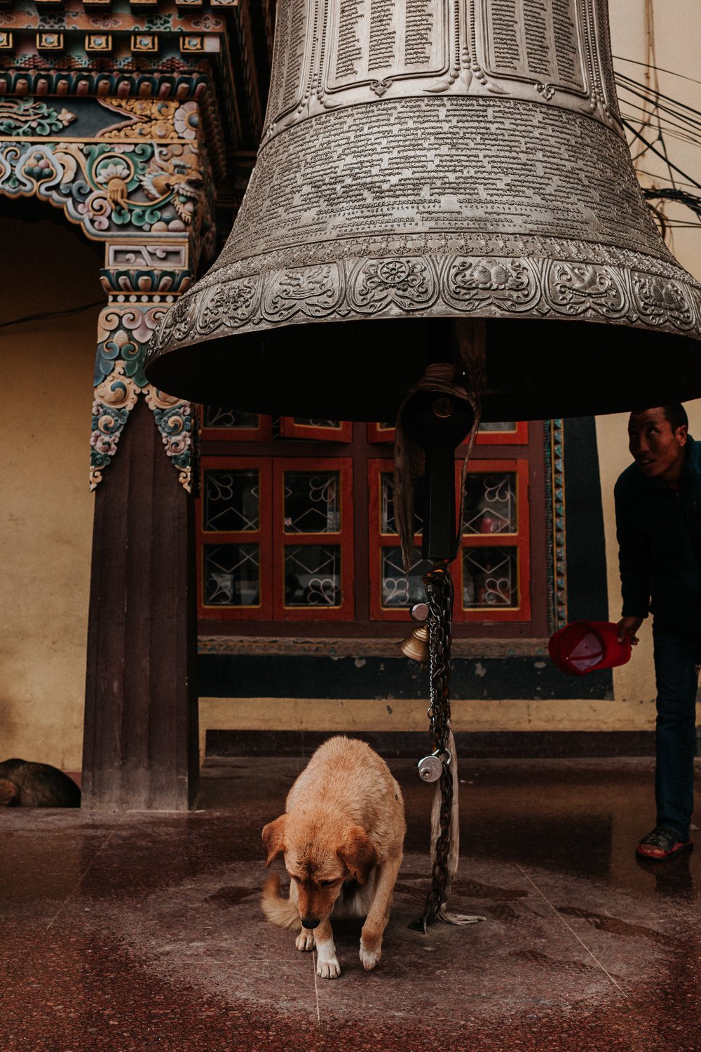 TaraShupe_Photography_Humanitarian_Photographer_Female_Storyteller_NGO_WomenFilmmakers_Trek-for-girls-mount everest020.jpg