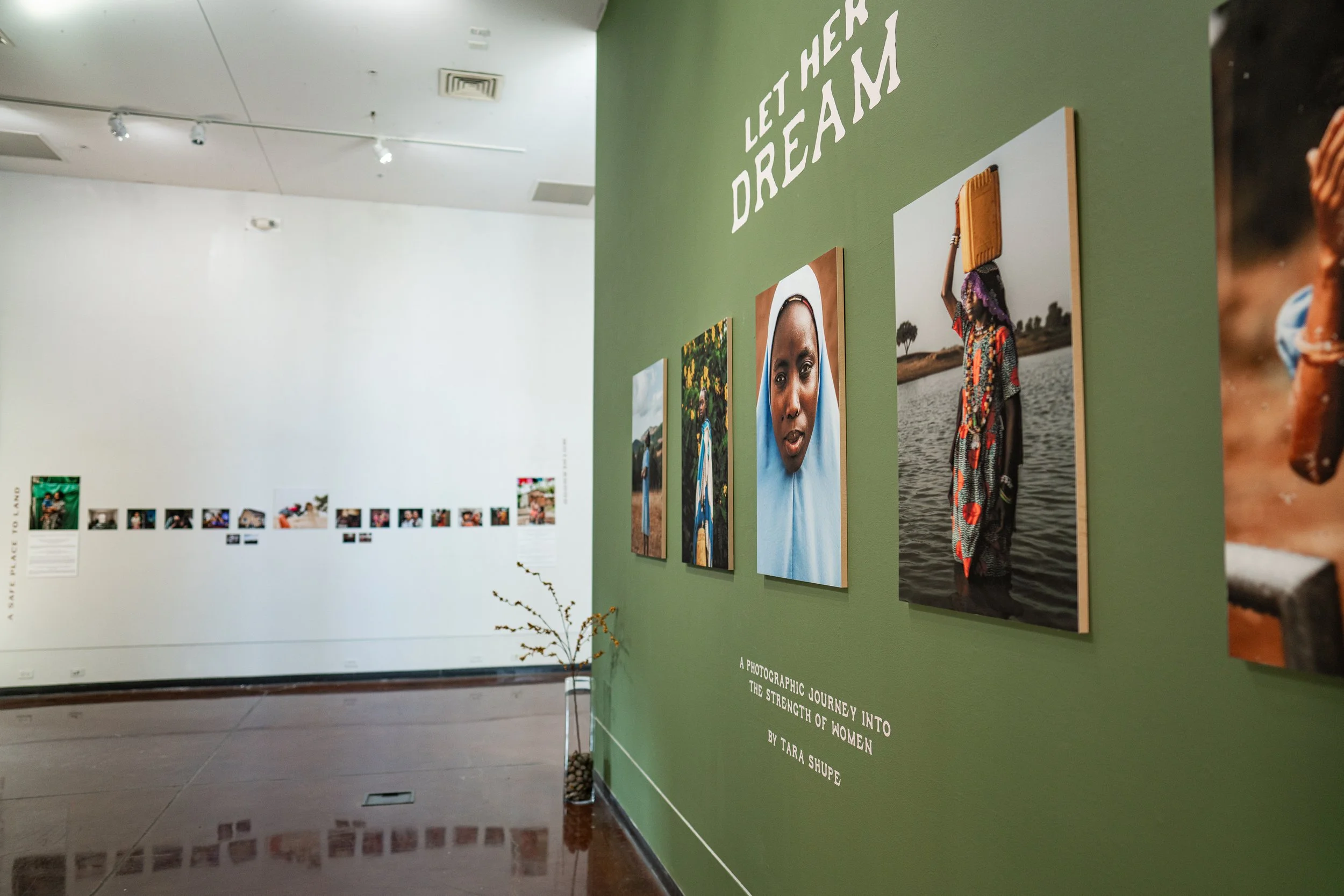 TaraShupe_Photography_LetHerDream_Art_Exhibition_013.jpeg (Copy)