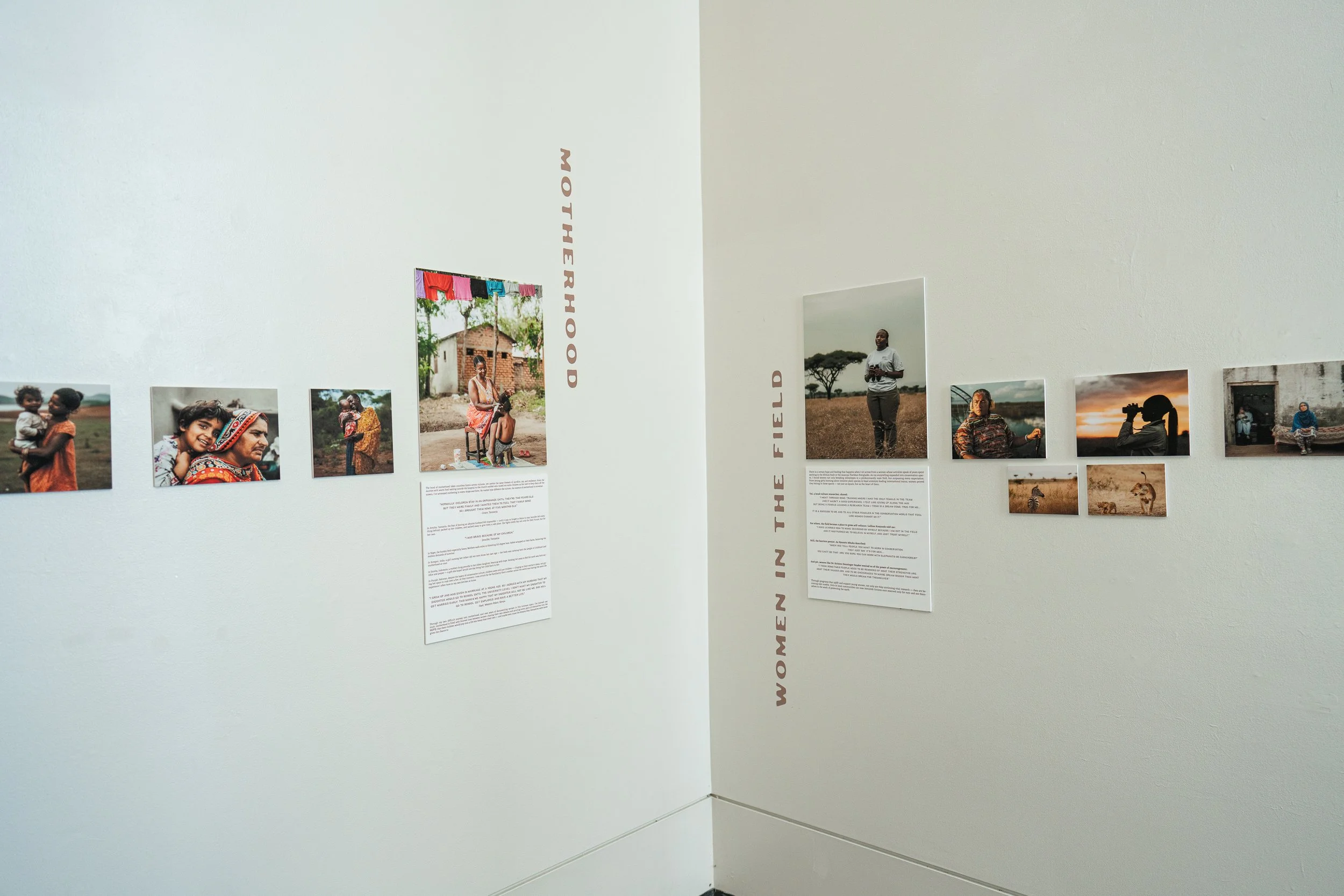 TaraShupe_Photography_LetHerDream_Art_Exhibition_009.jpeg