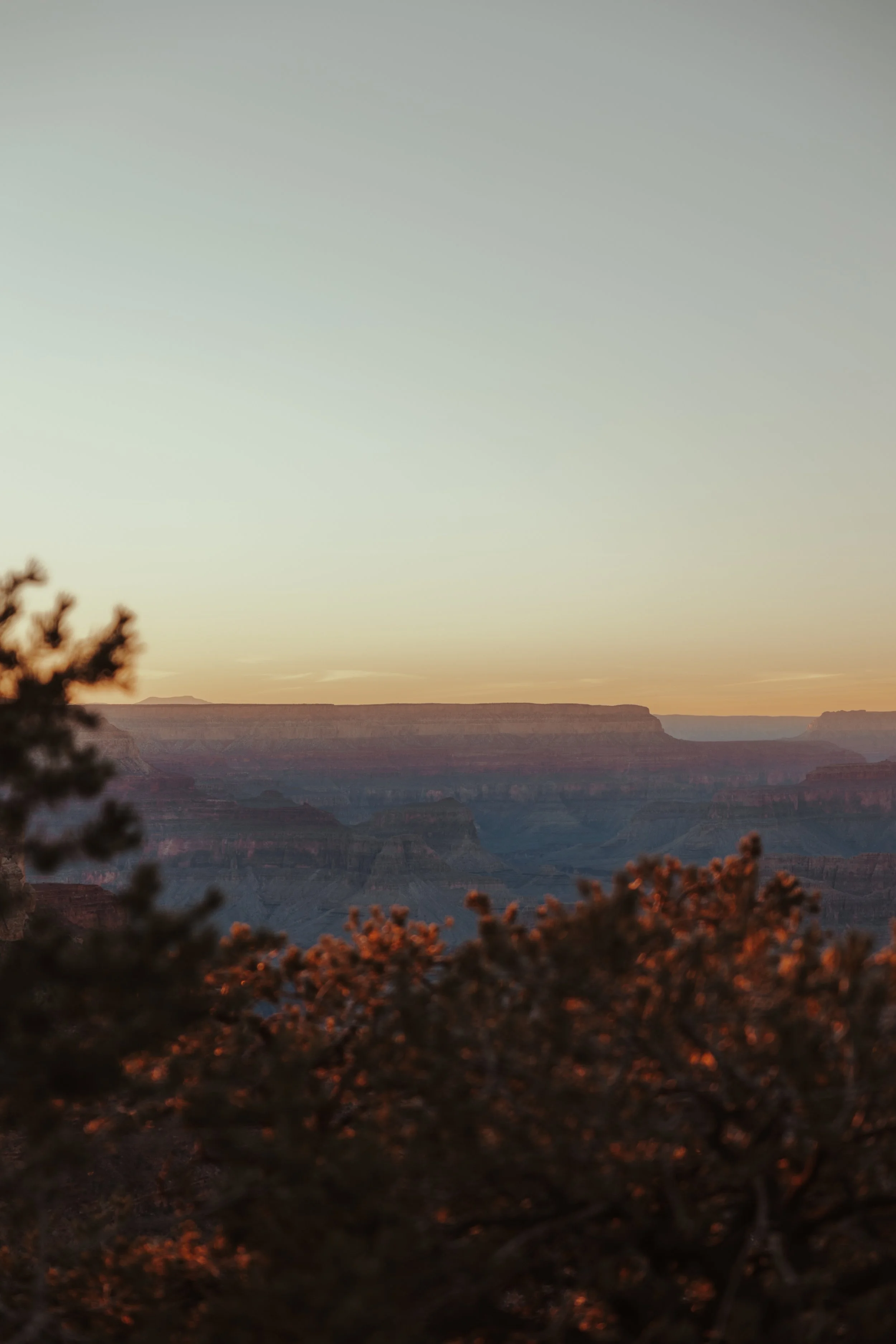 Grand Canyon-137.jpg