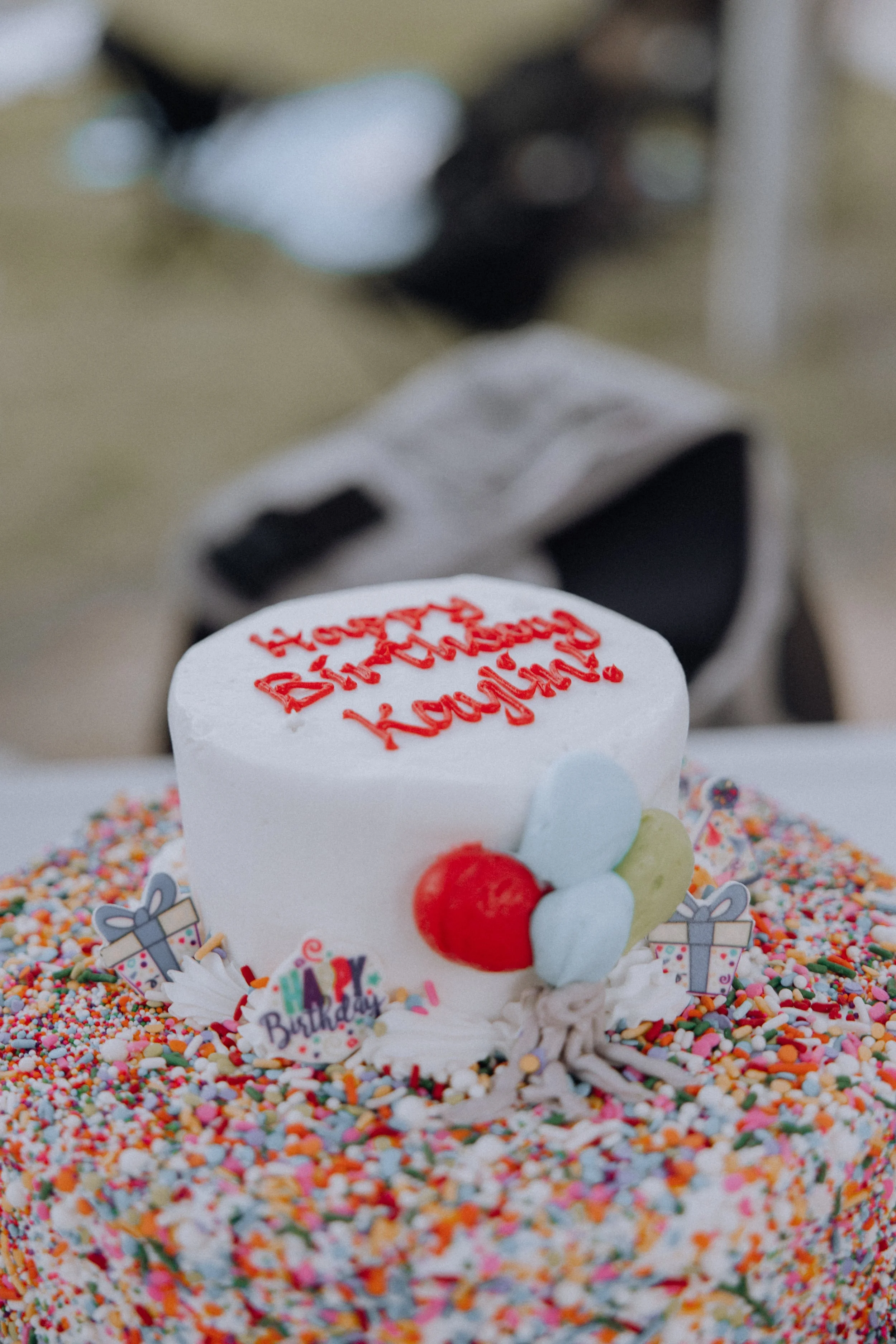 Kaylin's Bday-98.jpg