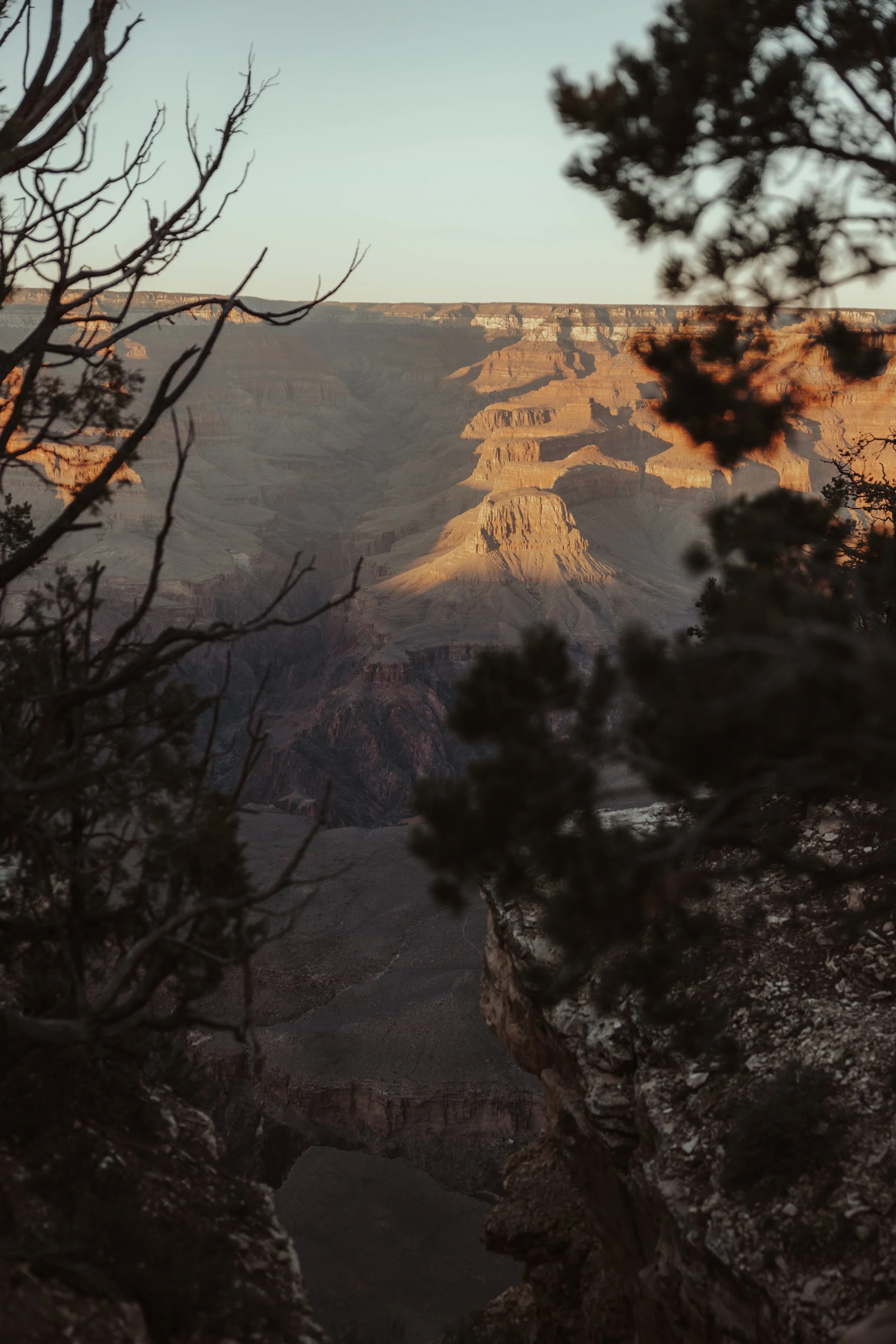 Grand Canyon-75.jpg