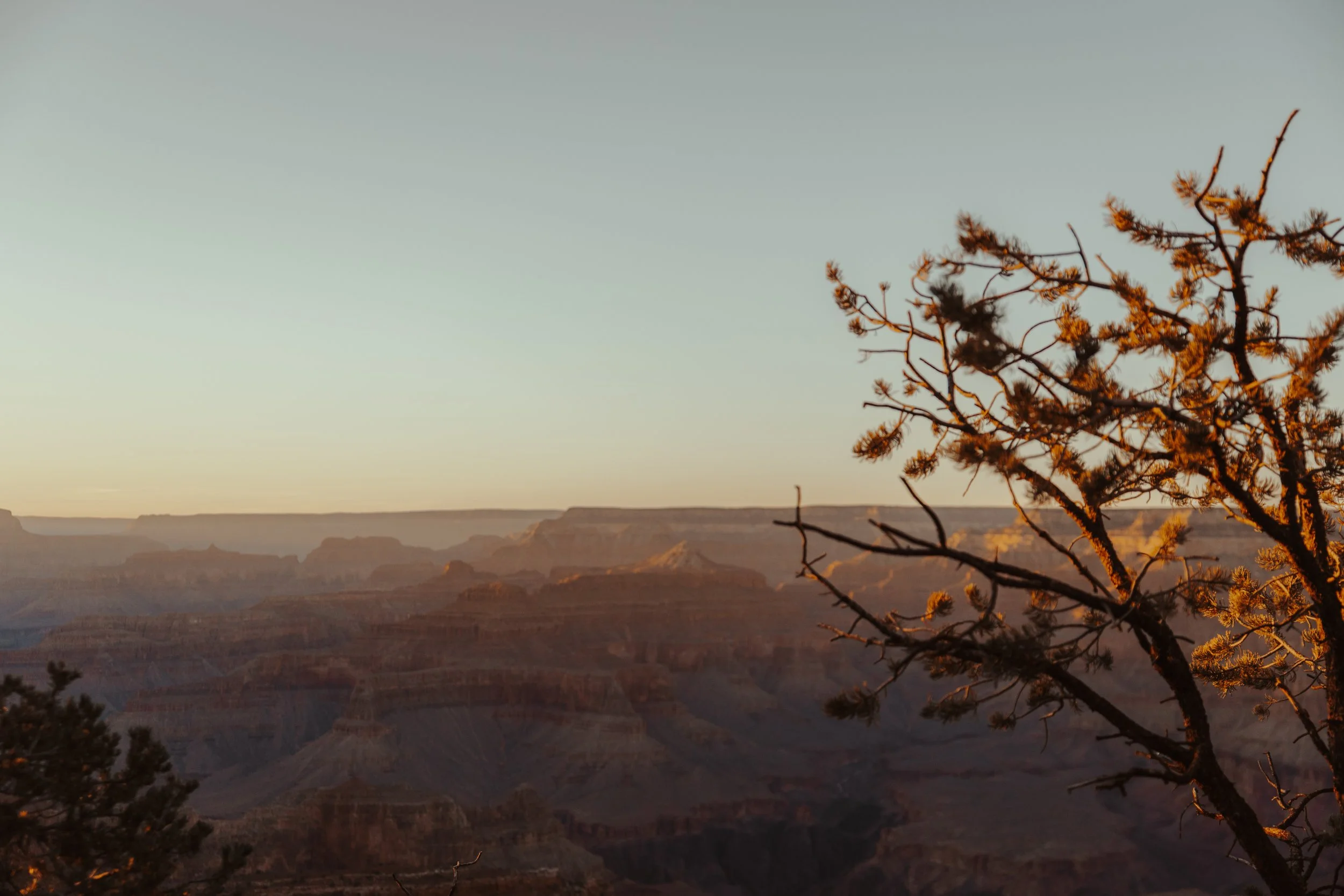 Grand Canyon-89.jpg
