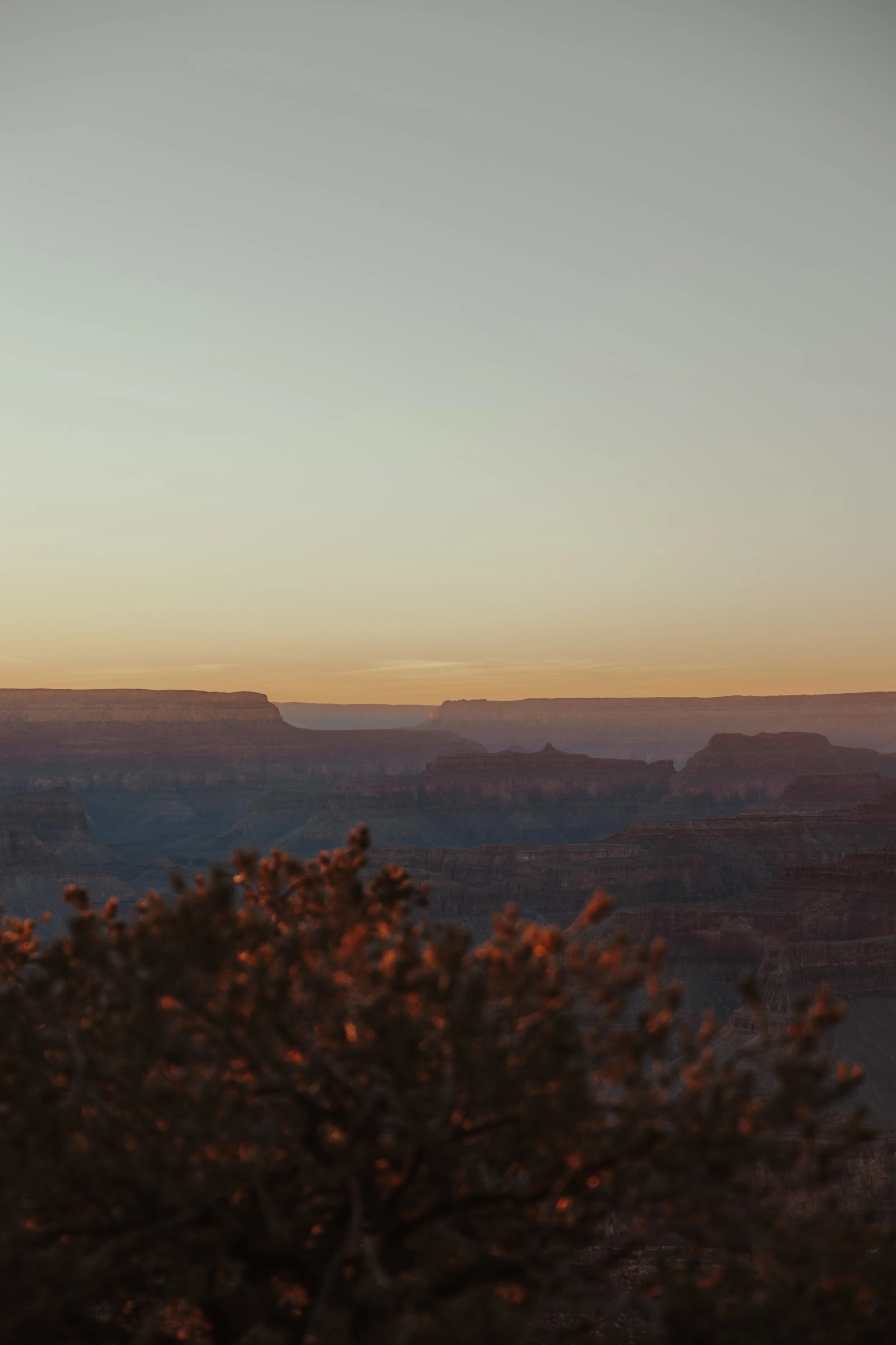 Grand Canyon-135.jpg