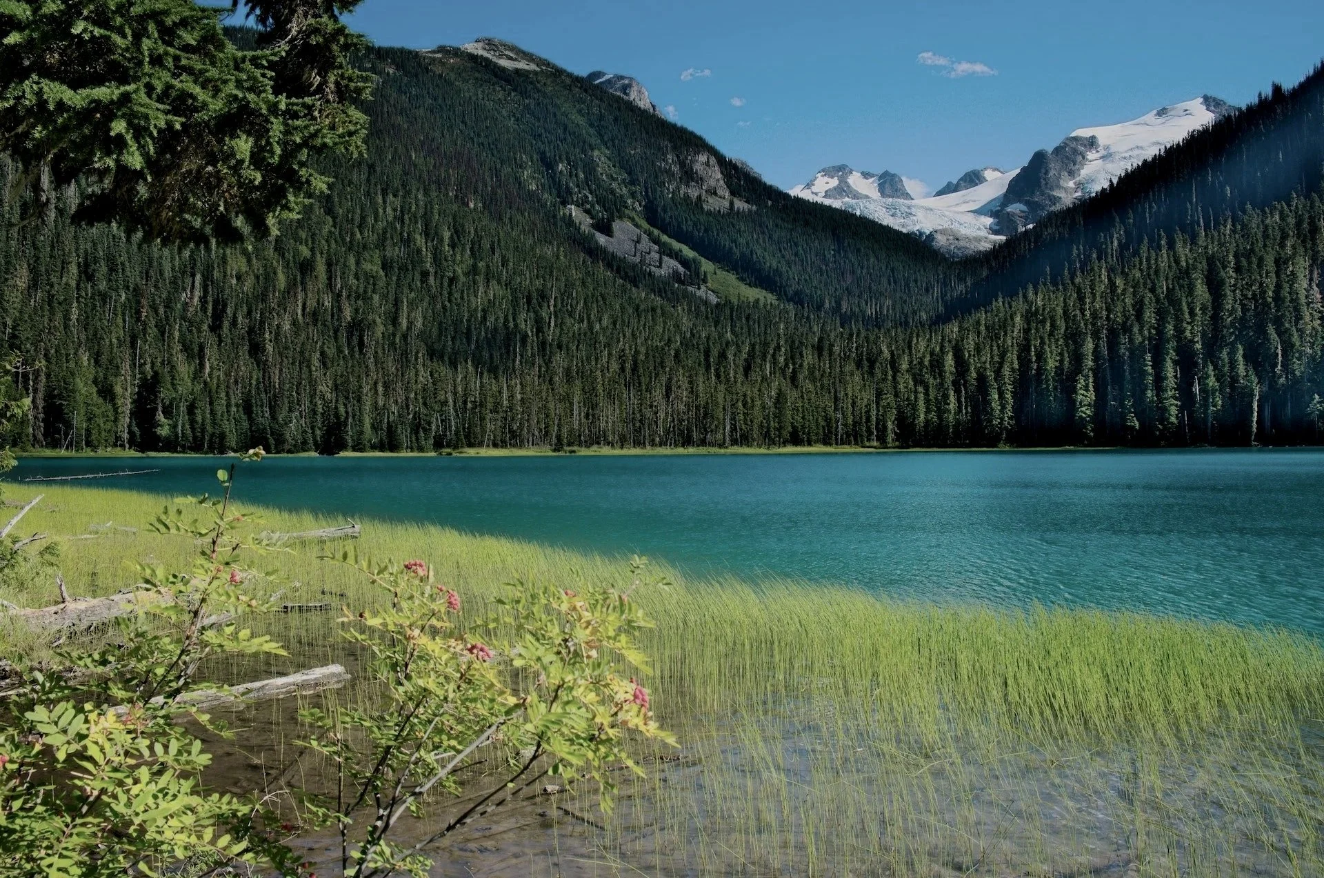  Stay Connected, Stay In The Know.  
 Click Here to Sign Up for the BCTA Newsletter 