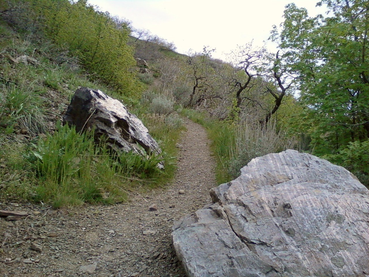 indian trail and hidden valley trail may 2011 005.jpg