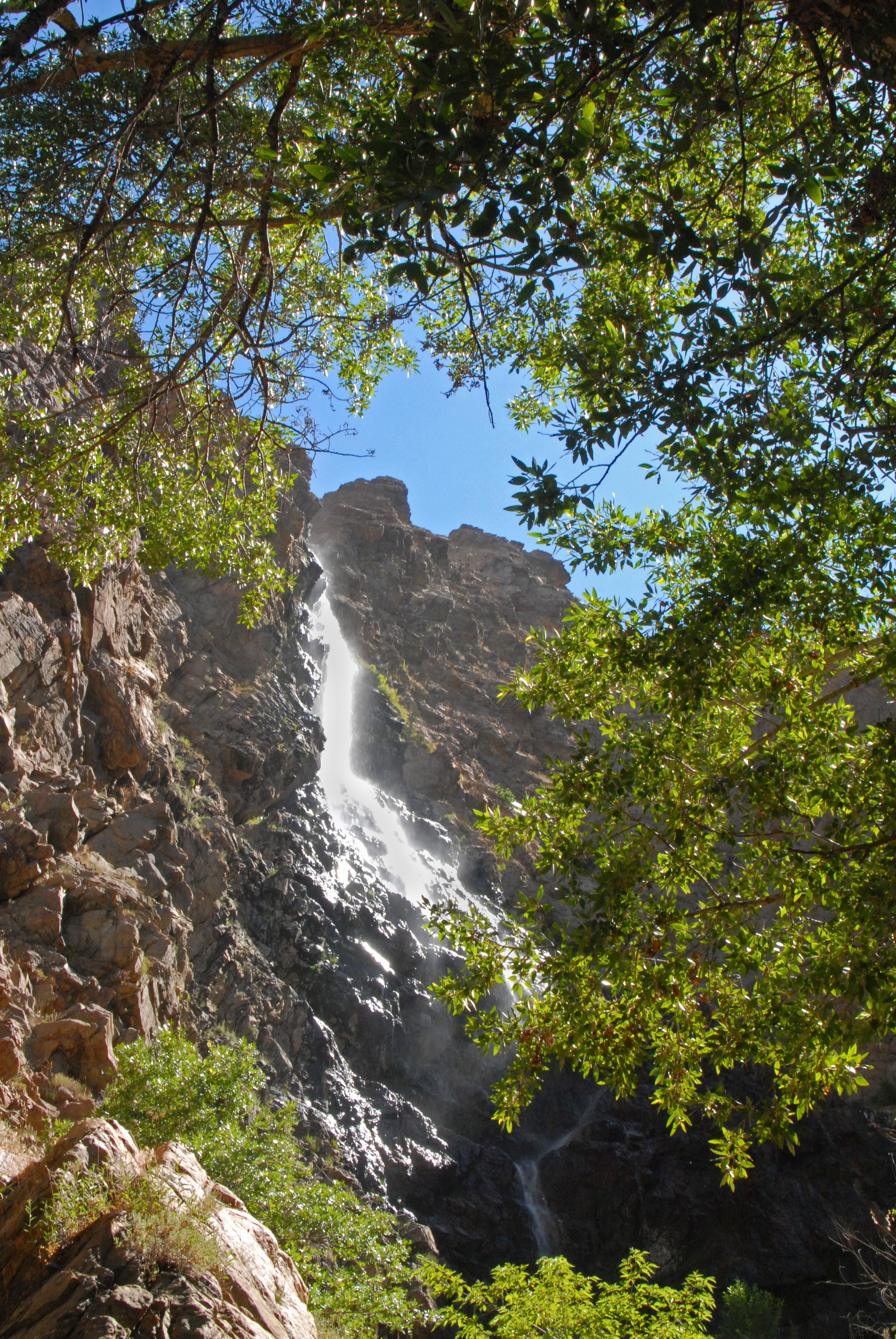 Waterfall Canyon 2010 033.jpg